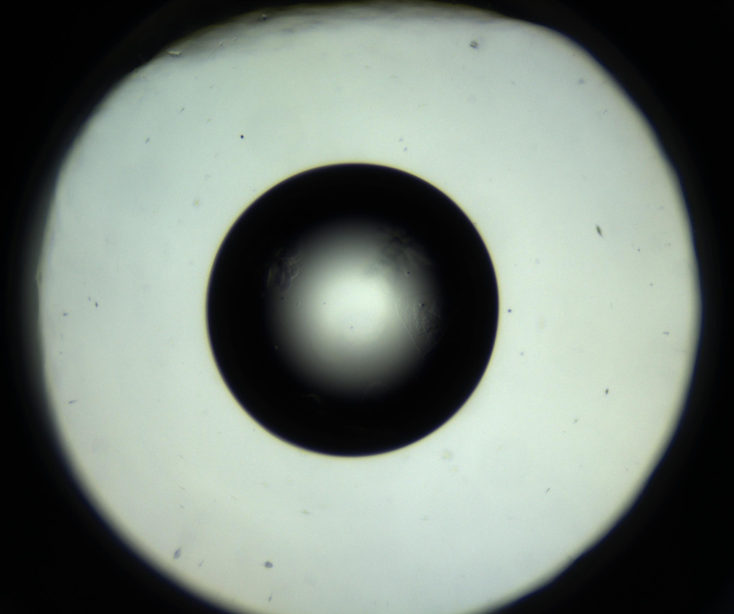 RI01_03_000_0212_Proj1_Clon1_MC_0000MC102717_007_161011_09_07_02_00_98_002_001_RAI.jpg