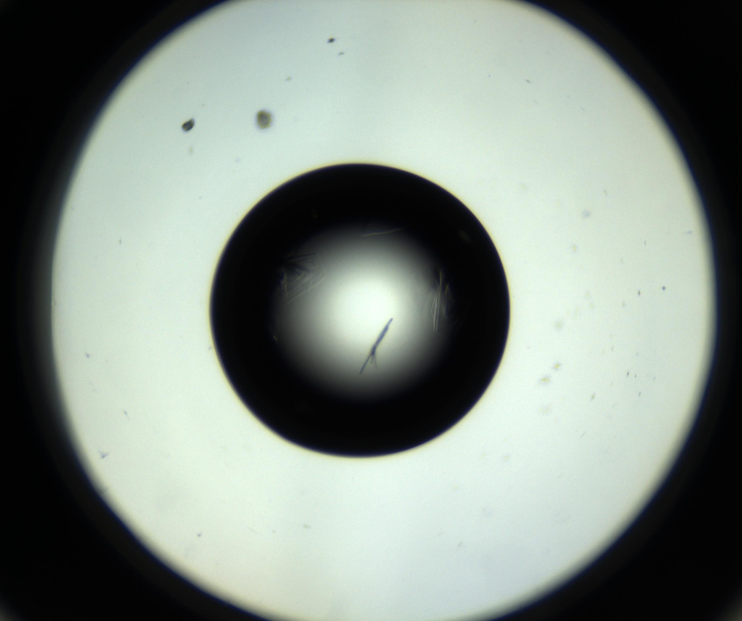 RI01_03_000_0212_Proj1_Clon1_MC_0000MC102717_007_161011_10_05_02_00_98_002_001_RAI.jpg