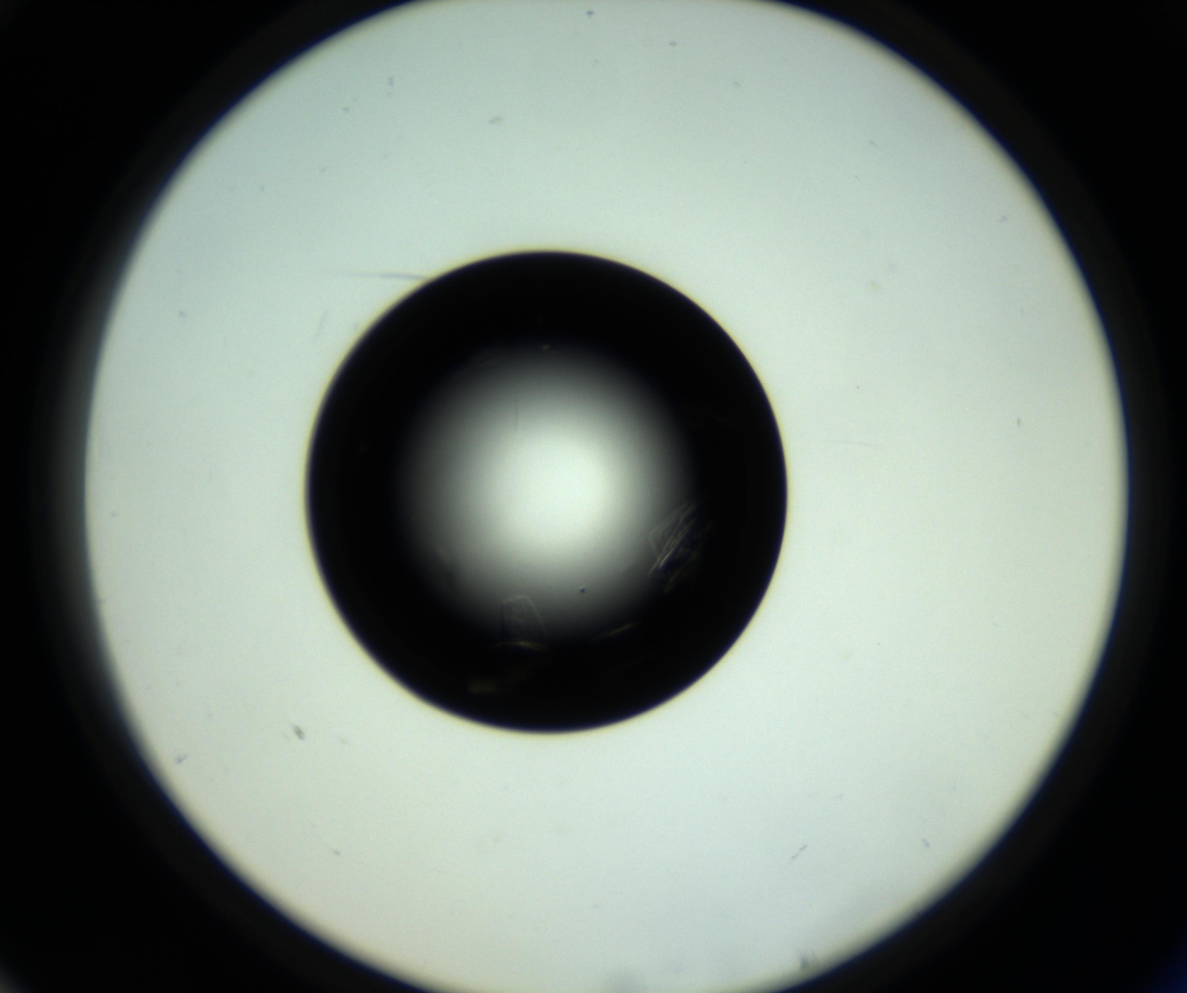 RI01_03_000_0212_Proj1_Clon1_MC_0000MC102717_007_161011_10_07_02_00_98_002_001_RAI.jpg