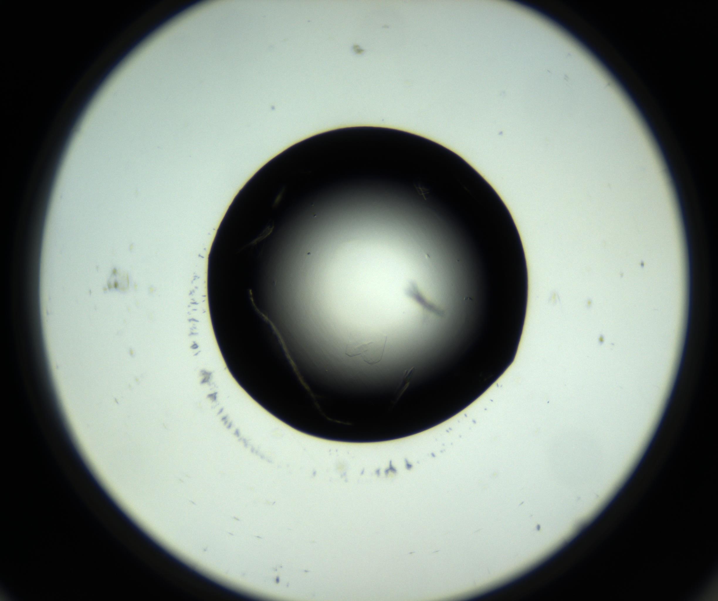 RI01_03_000_0212_Proj1_Clon1_MC_0000MC102717_007_161011_11_06_02_00_98_002_001_RAI.jpg