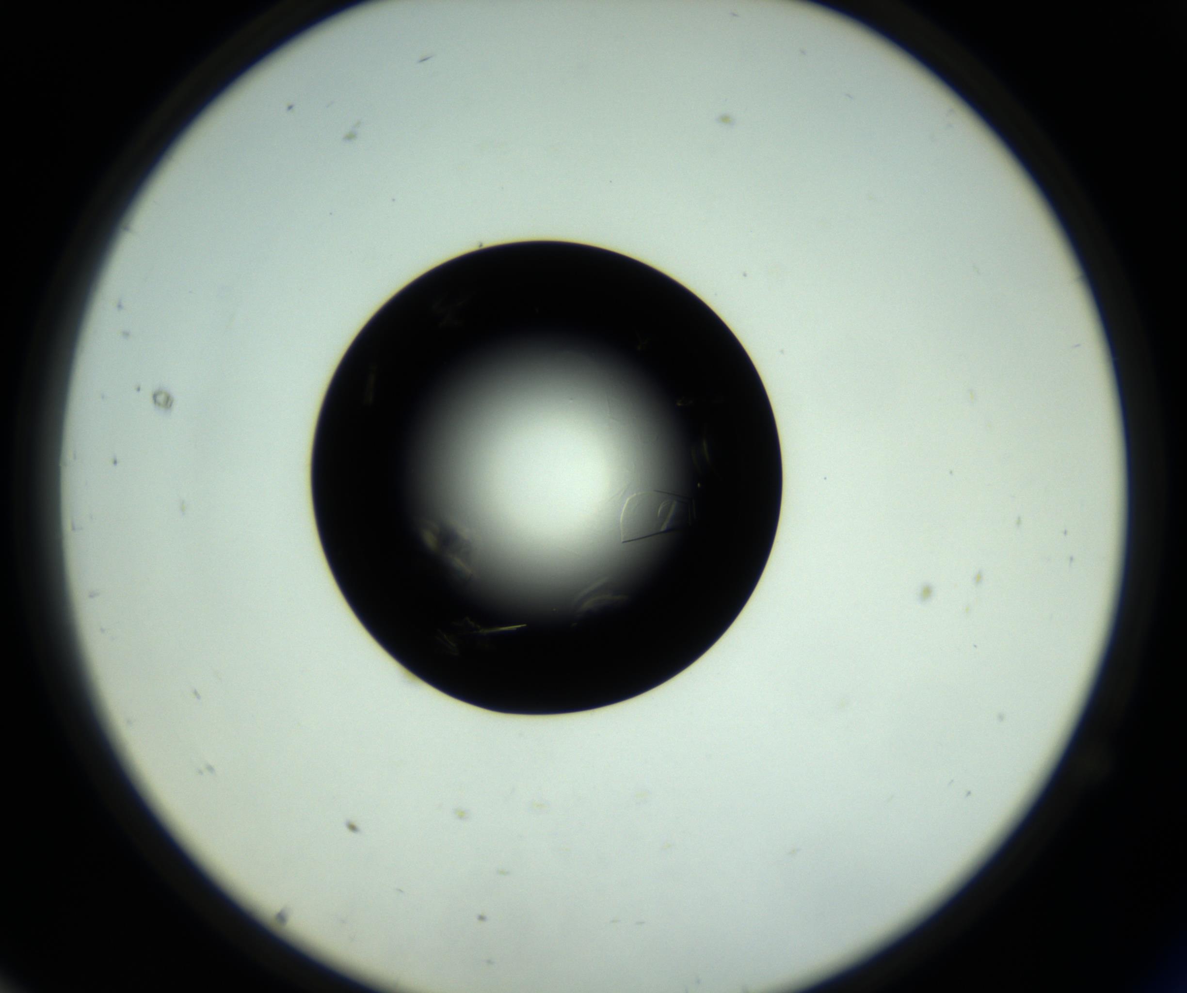 RI01_03_000_0212_Proj1_Clon1_MC_0000MC102717_007_161011_11_07_02_00_98_002_001_RAI.jpg