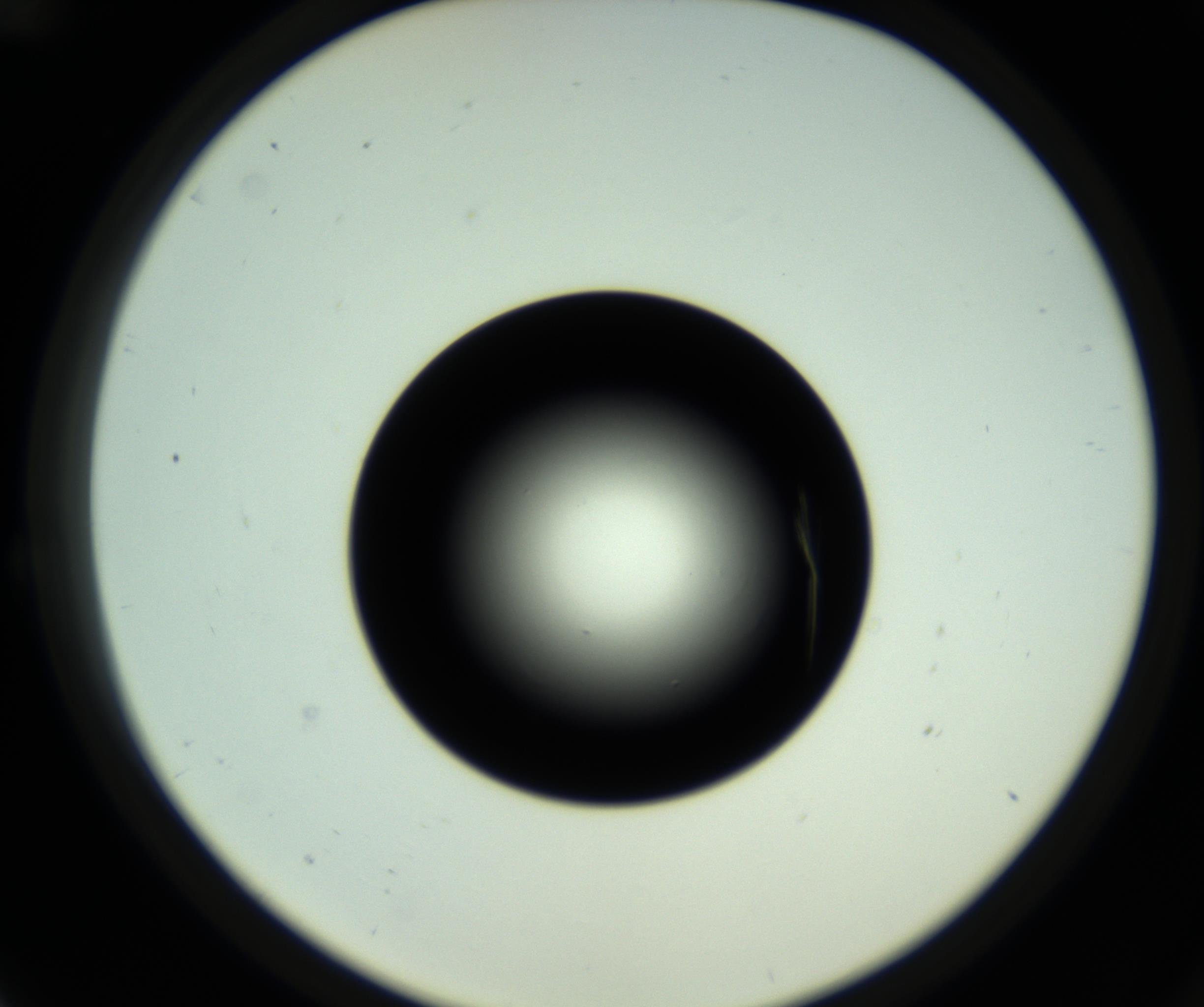 RI01_03_000_0212_Proj1_Clon1_MC_0000MC102717_007_161011_12_02_02_00_98_002_001_RAI.jpg