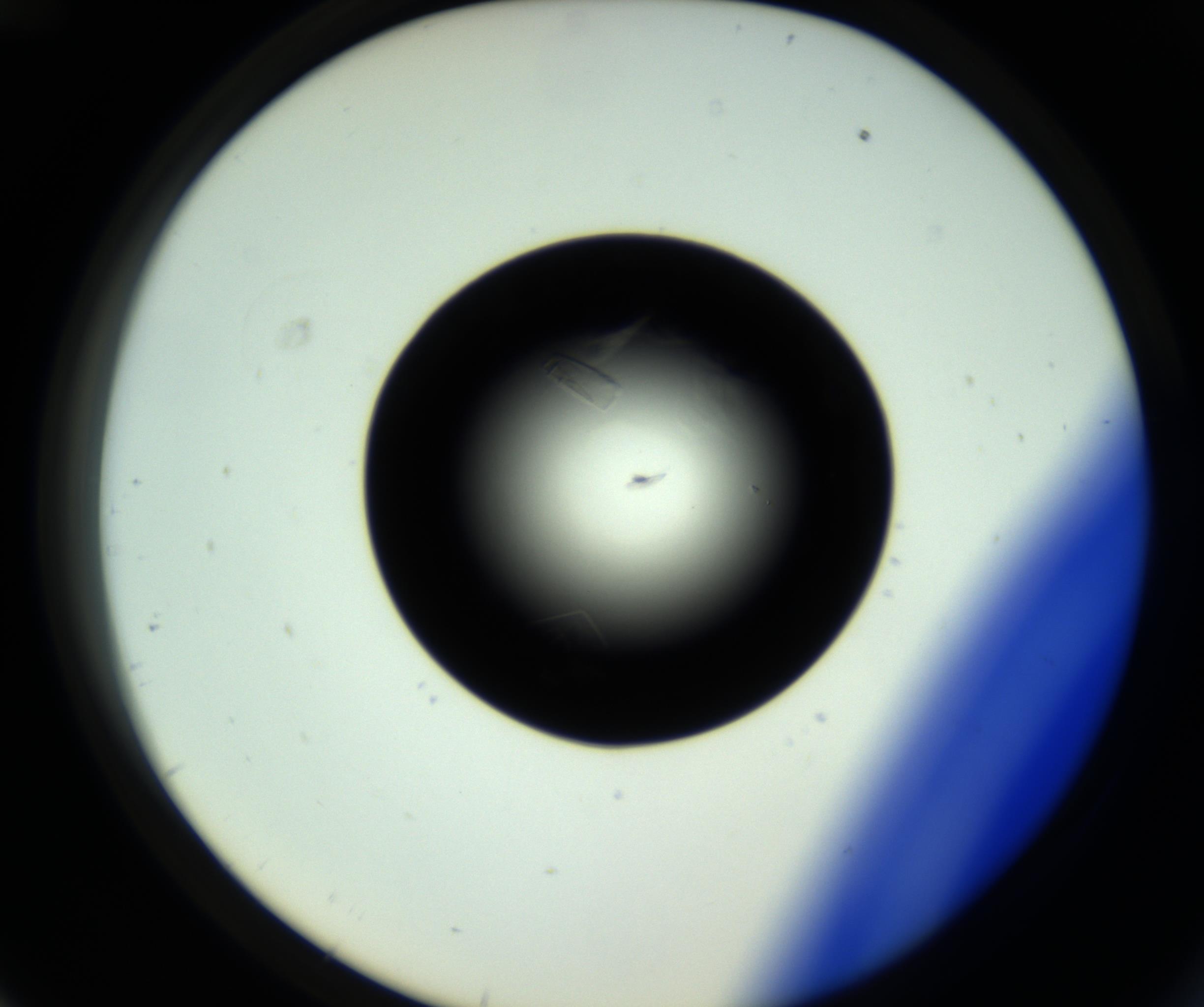 RI01_03_000_0212_Proj1_Clon1_MC_0000MC102717_007_161011_12_04_02_00_98_002_001_RAI.jpg