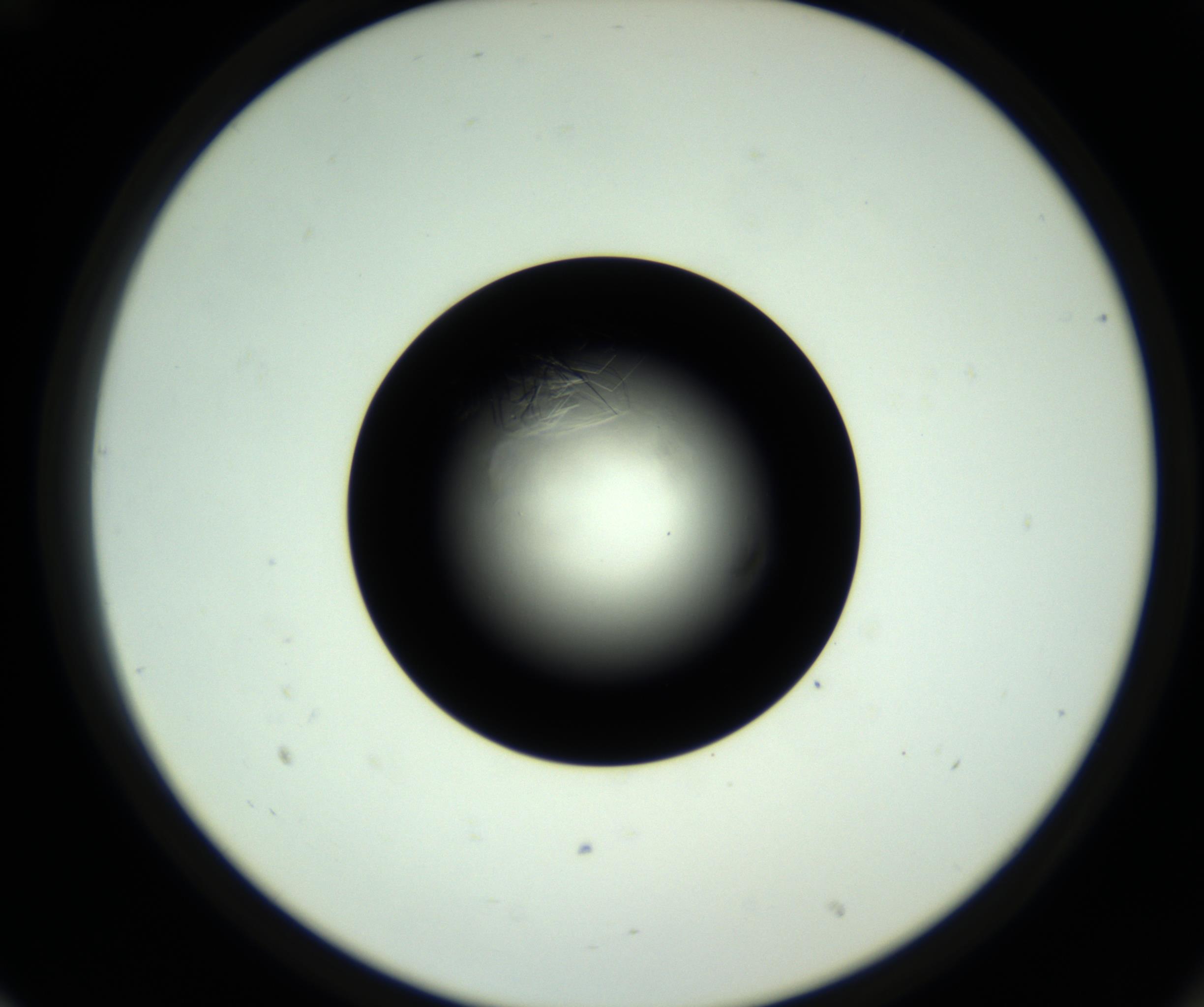 RI01_03_000_0212_Proj1_Clon1_MC_0000MC102717_007_161011_12_06_02_00_98_002_001_RAI.jpg