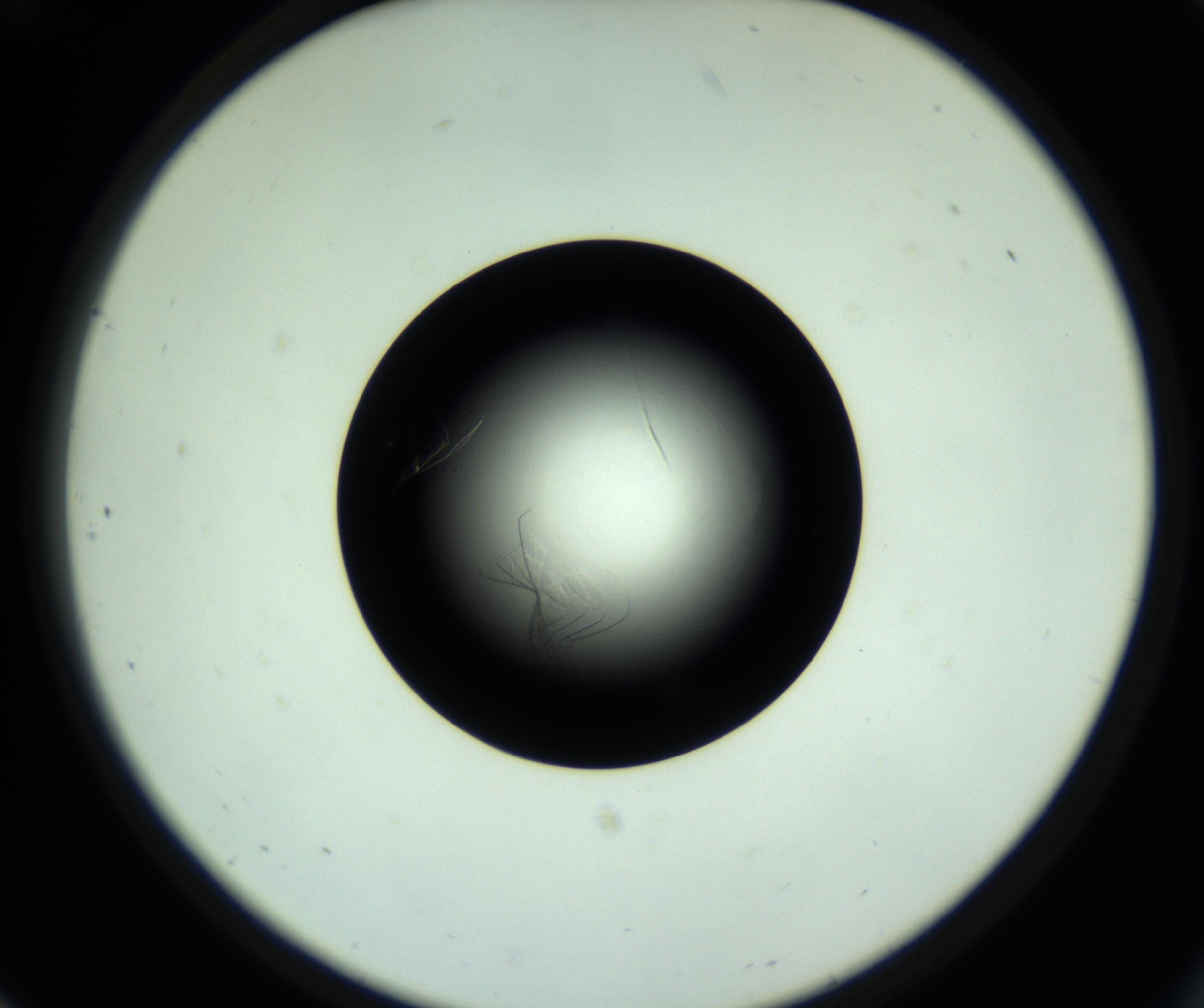 RI01_03_000_0212_Proj1_Clon1_MC_0000MC102717_007_161011_12_07_02_00_98_002_001_RAI.jpg