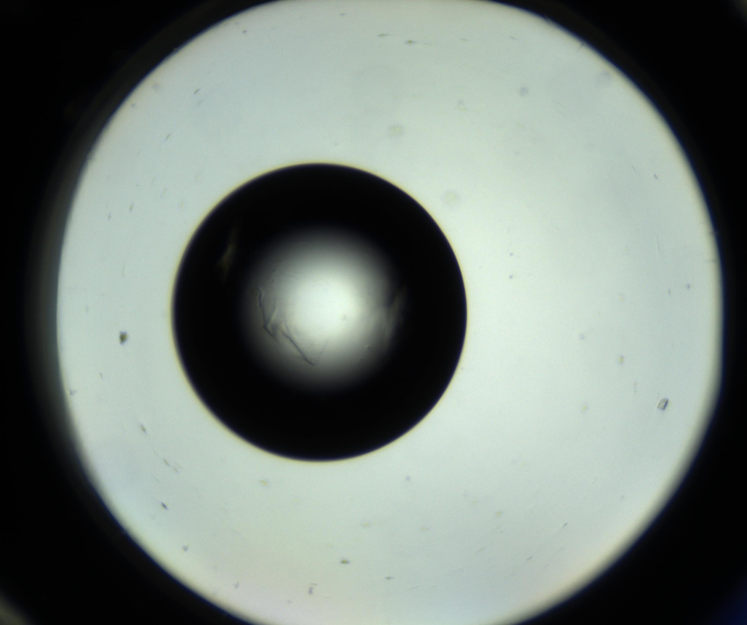 RI01_03_000_0212_Proj1_Clon1_MC_0000MC102717_007_161011_12_08_02_00_98_002_001_RAI.jpg