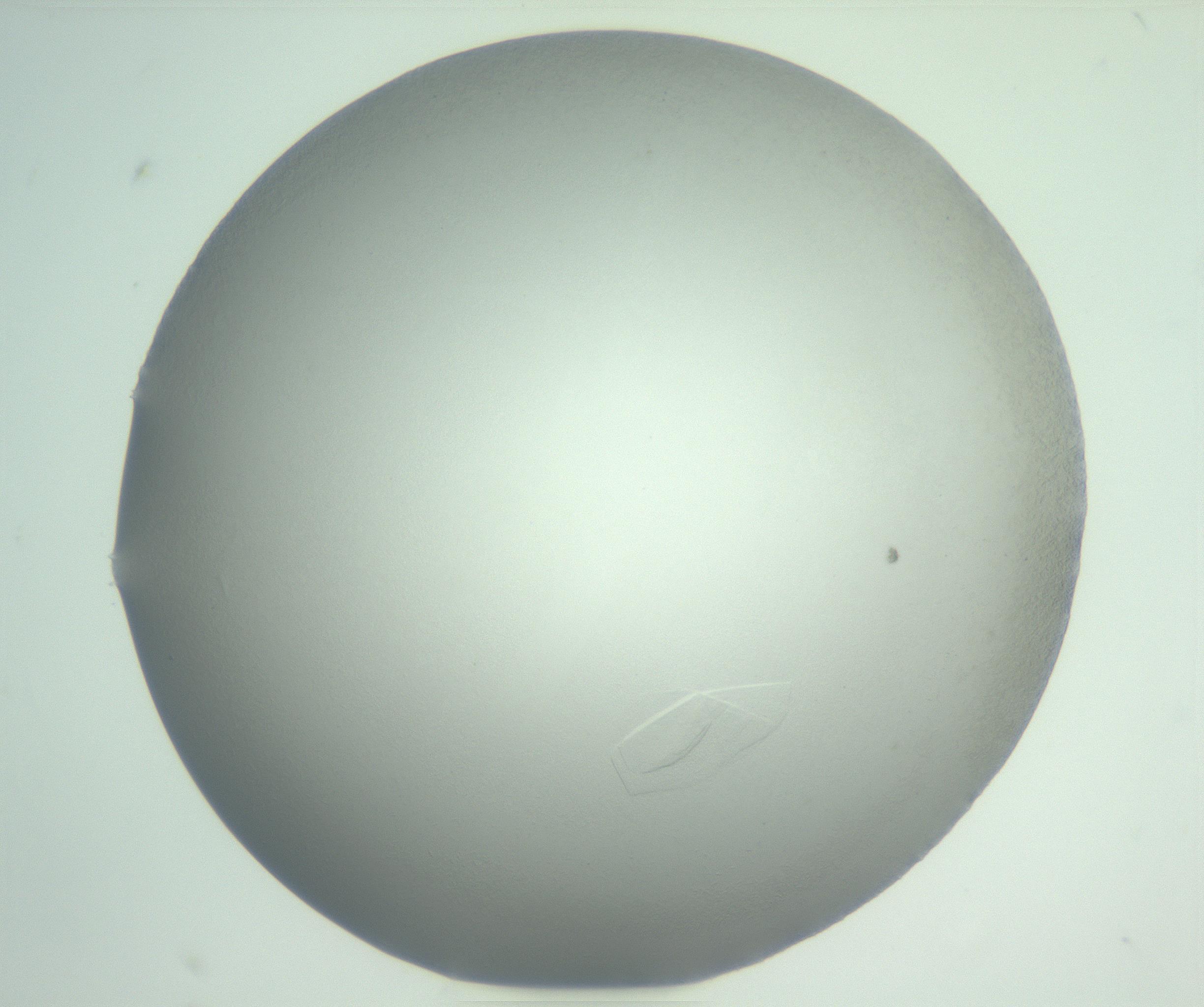 RI01_03_000_0212_Proj1_Clon1_MC_0000MC102717_013_161122_05_08_01_00_99_002_001_RAI.jpg