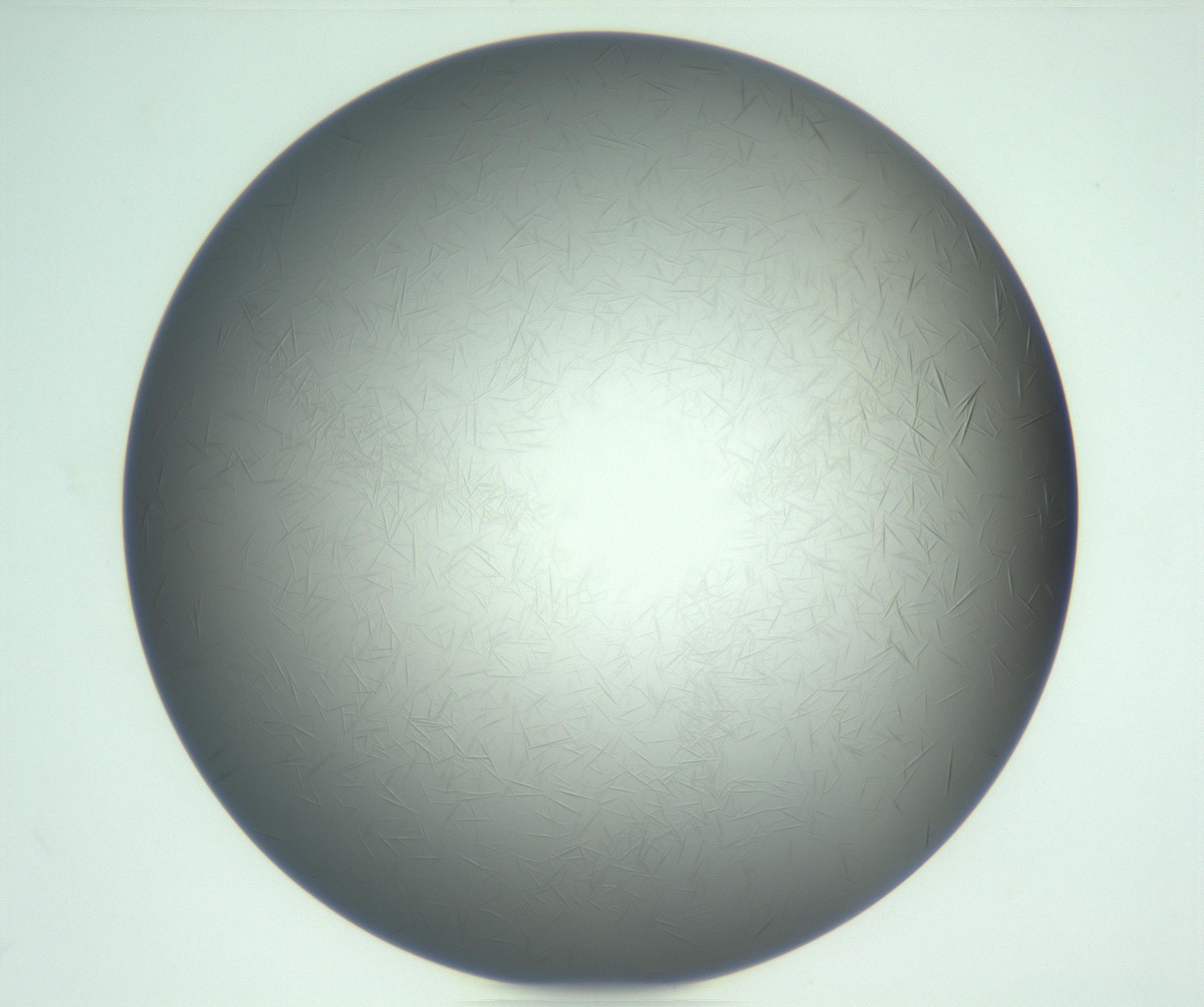 RI01_03_000_0212_Proj1_Clon1_MC_0000MC102717_013_161122_10_05_01_00_99_002_001_RAI.jpg