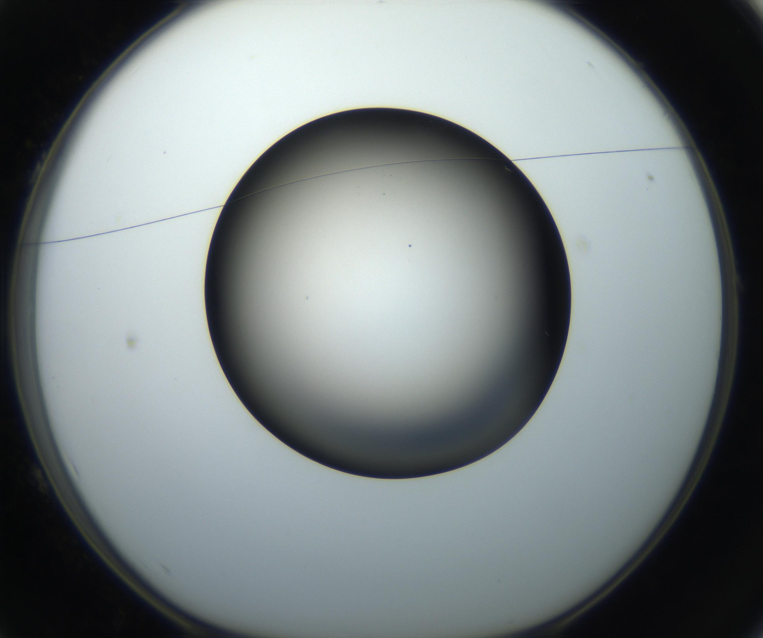RI01_03_000_0212_Proj1_Clon1_MC_0000MC102718_004_160921_01_01_01_00_99_002_001_RAI.jpg