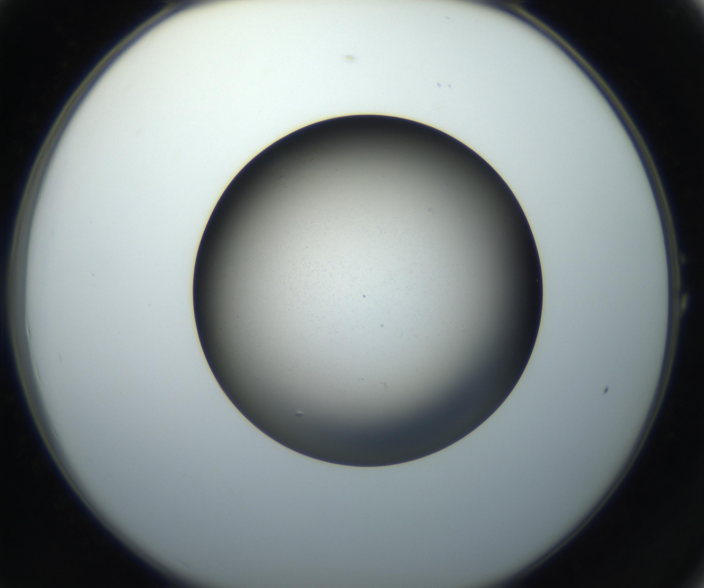 RI01_03_000_0212_Proj1_Clon1_MC_0000MC102718_004_160921_01_01_02_00_99_002_001_RAI.jpg