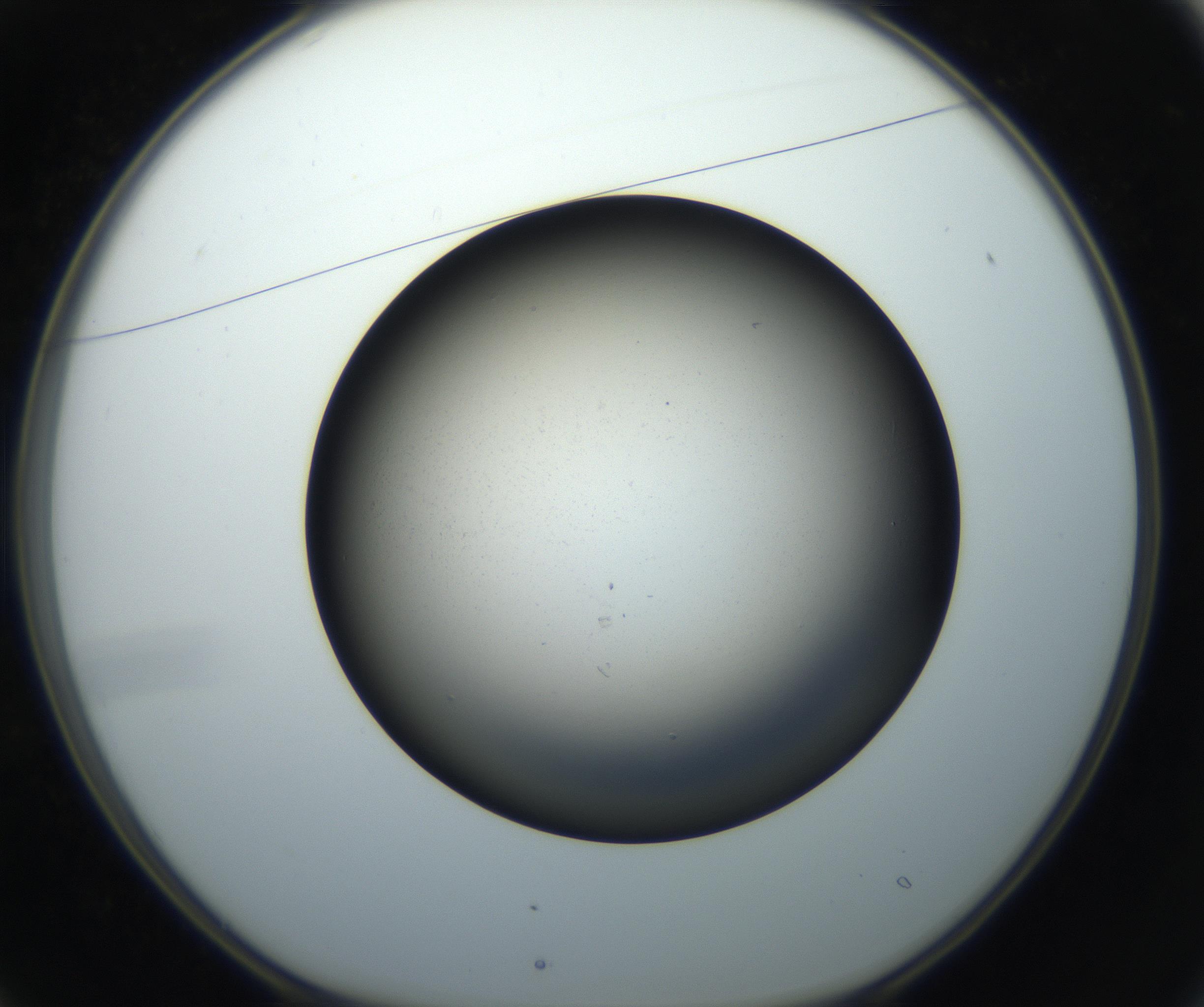 RI01_03_000_0212_Proj1_Clon1_MC_0000MC102718_004_160921_01_02_01_00_99_002_001_RAI.jpg