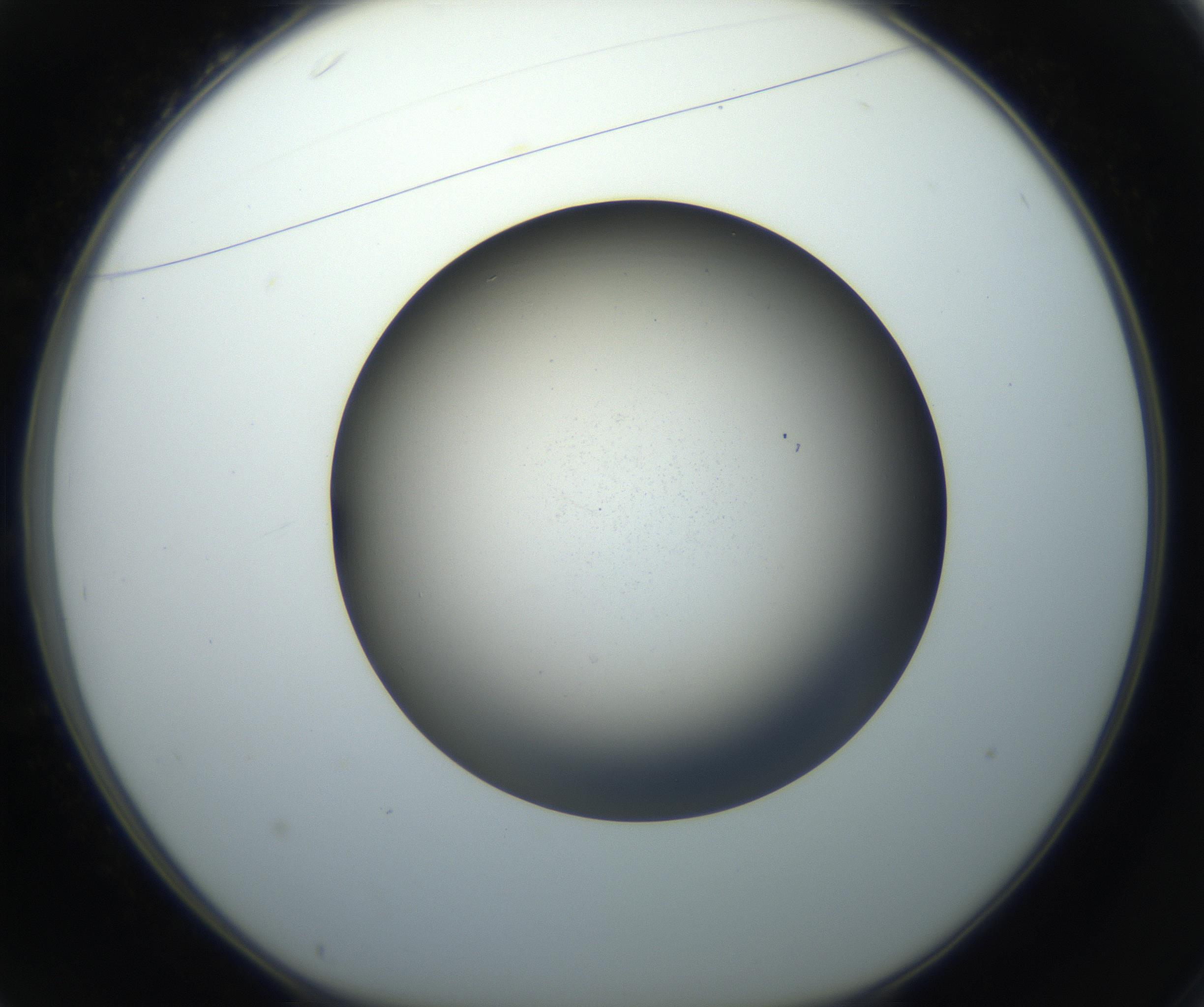 RI01_03_000_0212_Proj1_Clon1_MC_0000MC102718_004_160921_01_03_01_00_99_002_001_RAI.jpg