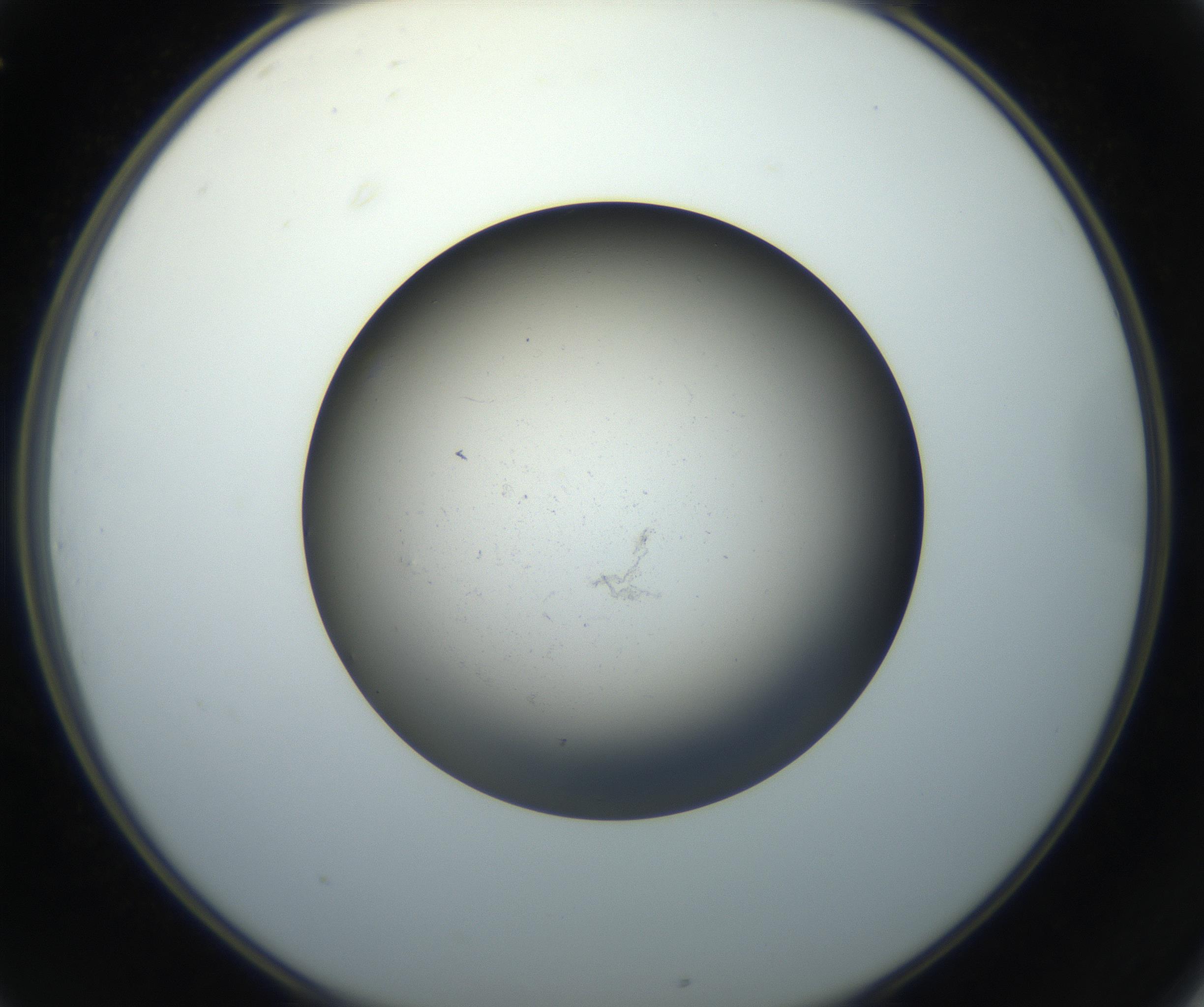 RI01_03_000_0212_Proj1_Clon1_MC_0000MC102718_004_160921_01_03_02_00_99_002_001_RAI.jpg