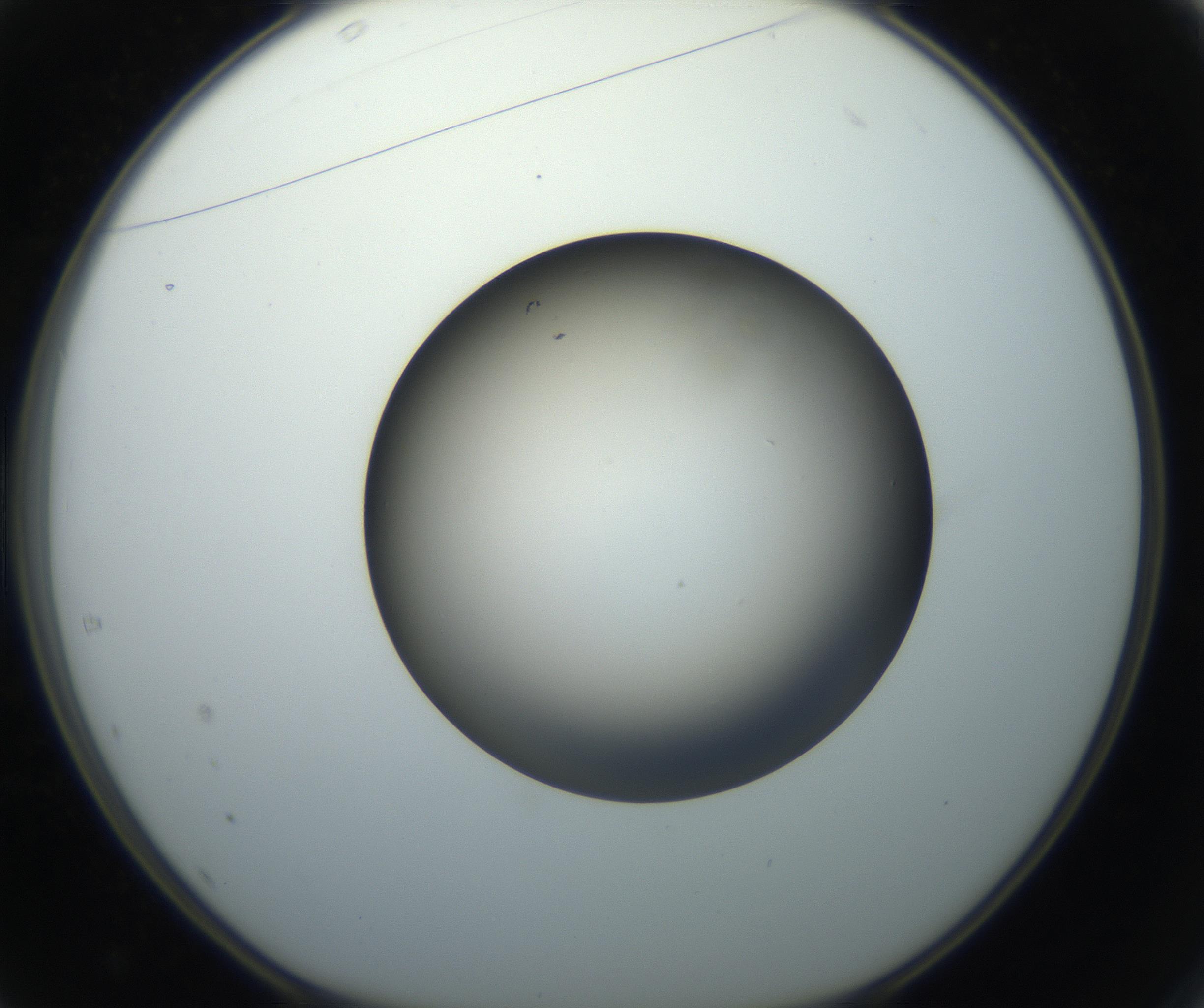 RI01_03_000_0212_Proj1_Clon1_MC_0000MC102718_004_160921_01_04_01_00_99_002_001_RAI.jpg