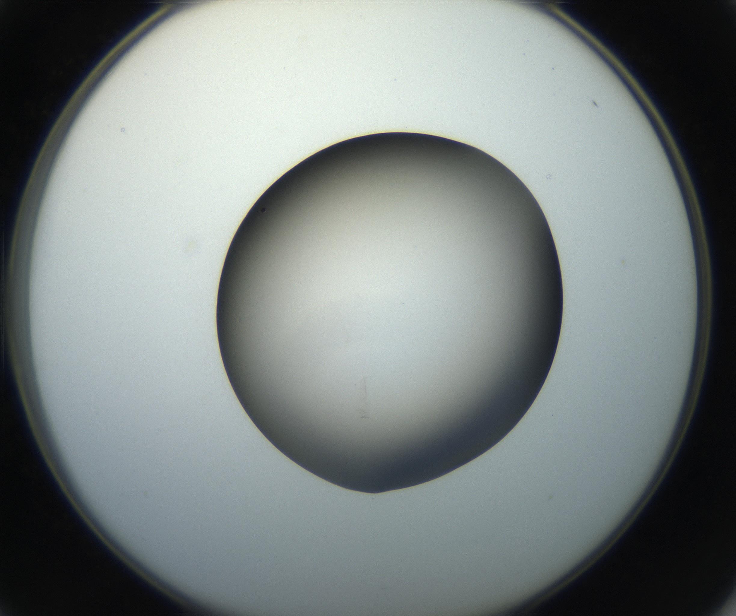 RI01_03_000_0212_Proj1_Clon1_MC_0000MC102718_004_160921_01_04_02_00_99_002_001_RAI.jpg
