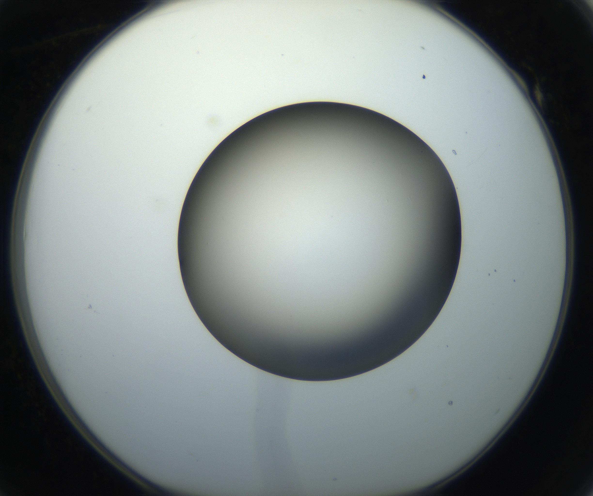 RI01_03_000_0212_Proj1_Clon1_MC_0000MC102718_004_160921_01_05_01_00_99_002_001_RAI.jpg