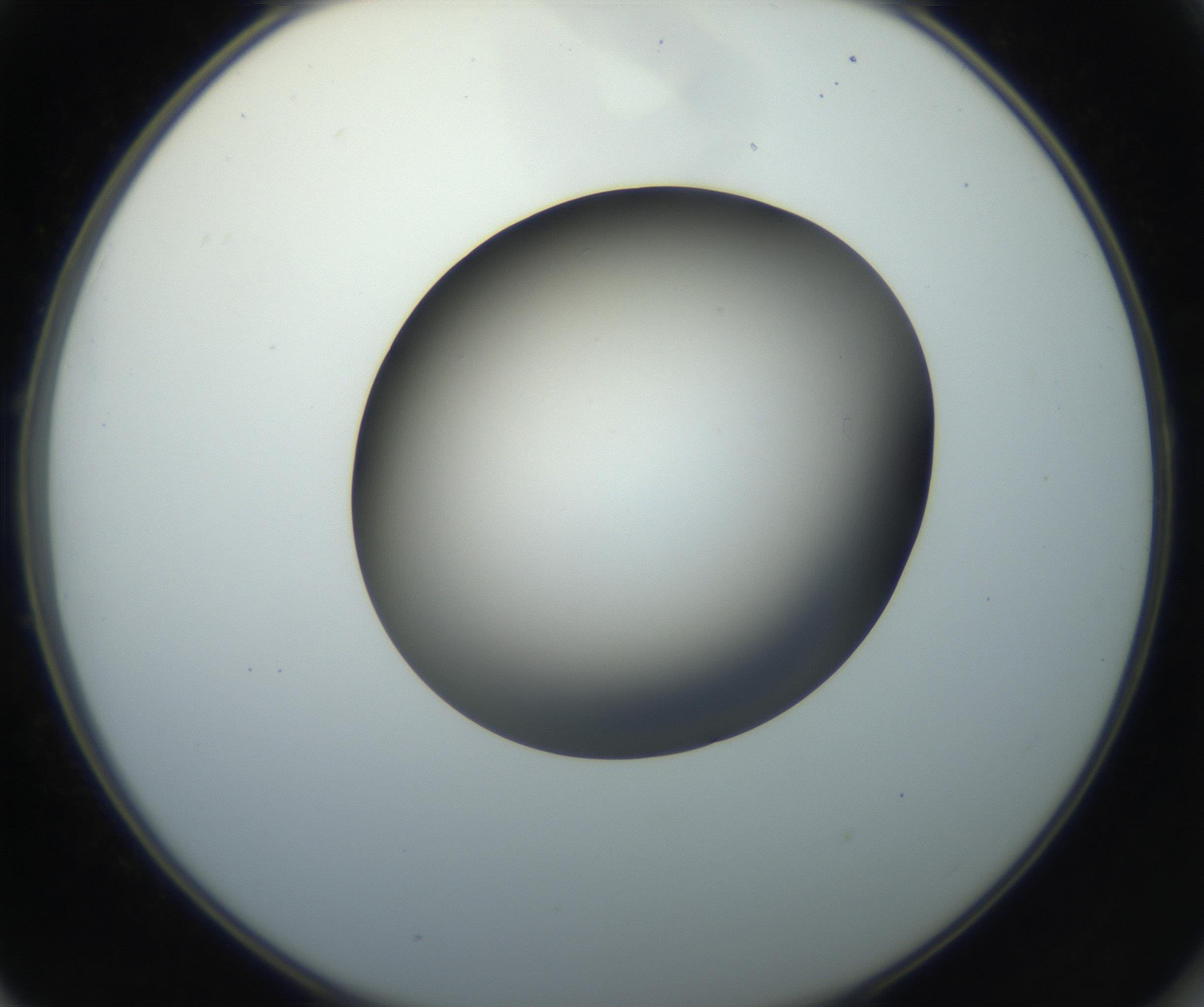 RI01_03_000_0212_Proj1_Clon1_MC_0000MC102718_004_160921_01_05_02_00_99_002_001_RAI.jpg