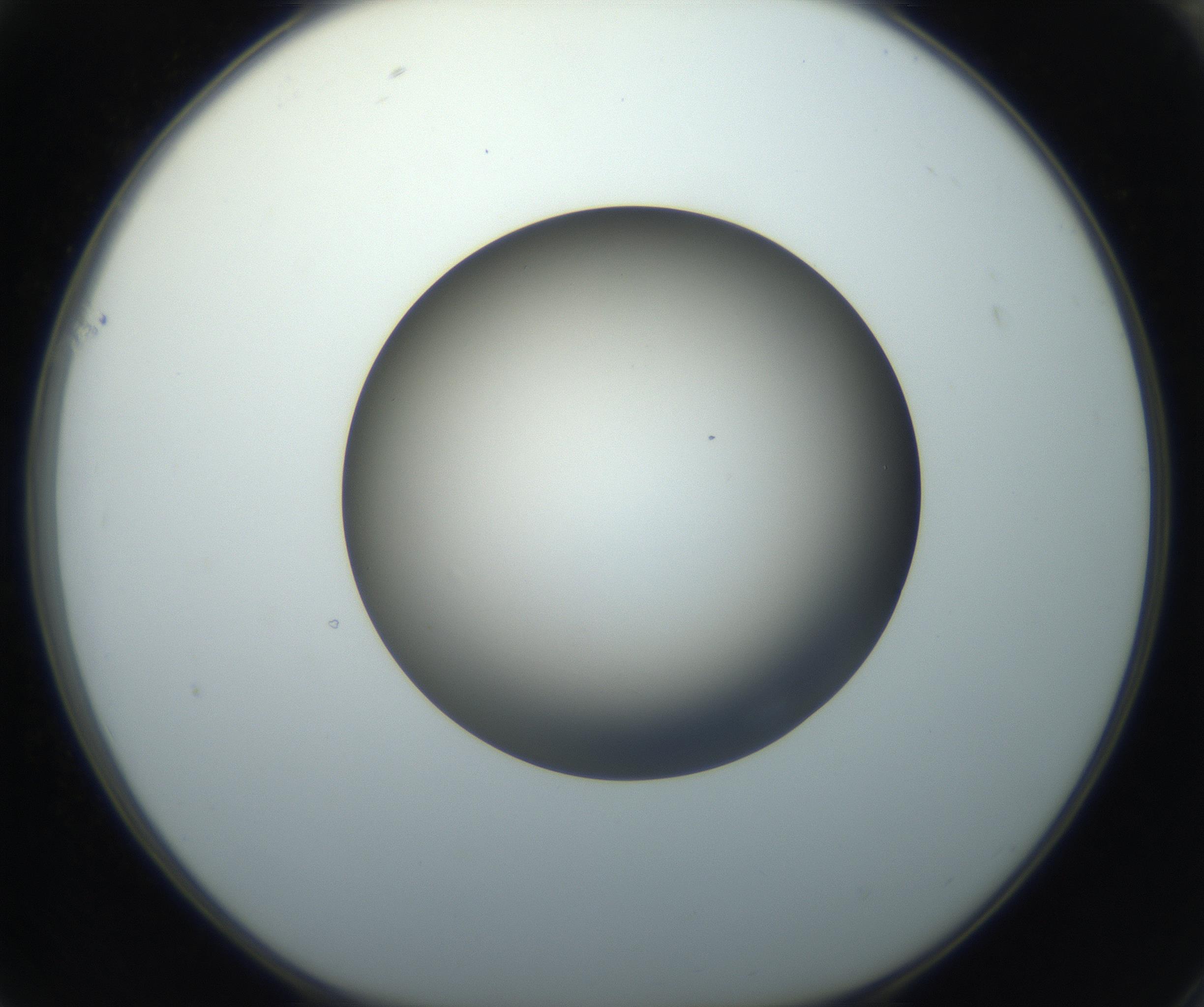 RI01_03_000_0212_Proj1_Clon1_MC_0000MC102718_004_160921_01_06_01_00_99_002_001_RAI.jpg