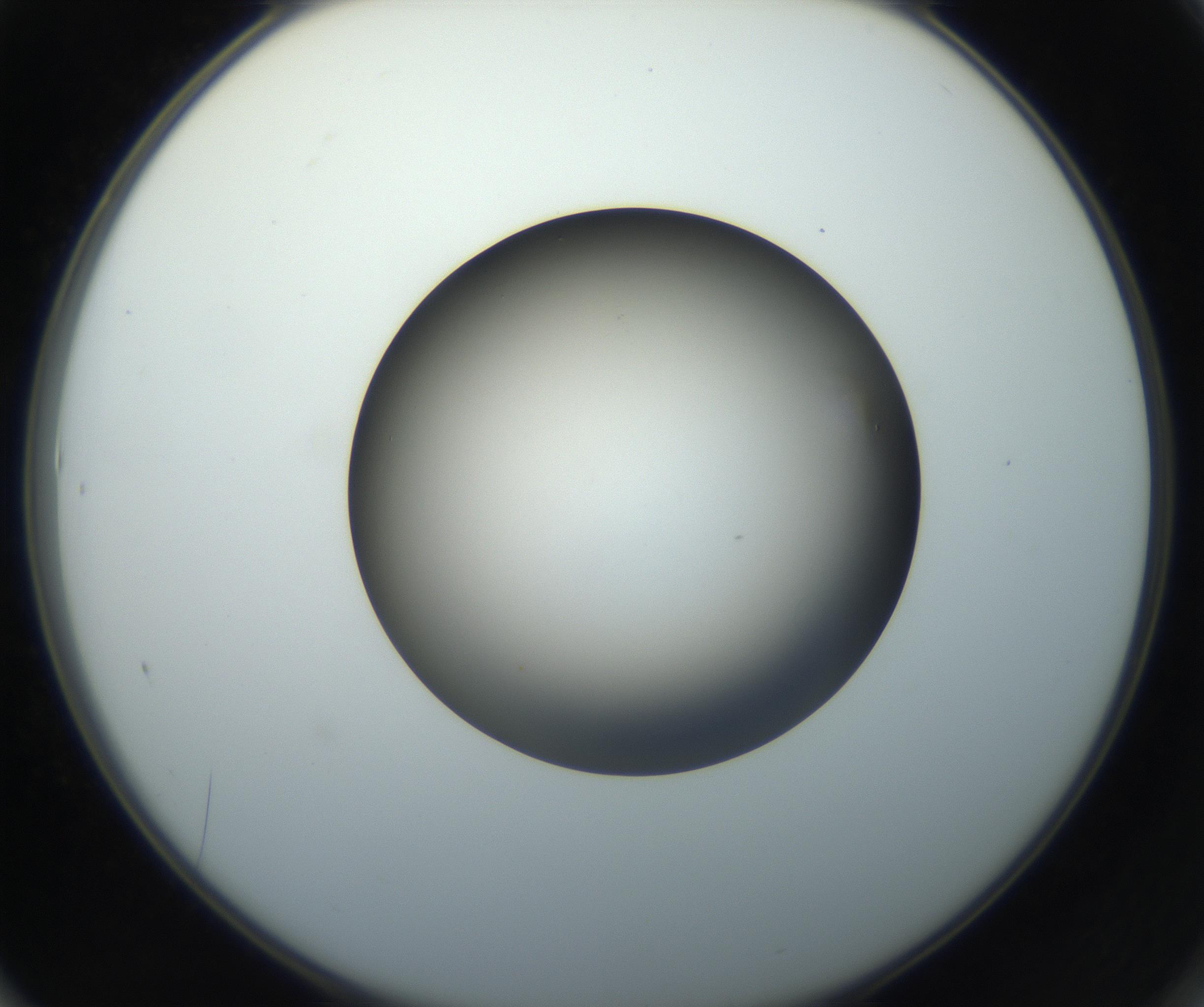 RI01_03_000_0212_Proj1_Clon1_MC_0000MC102718_004_160921_01_06_02_00_99_002_001_RAI.jpg