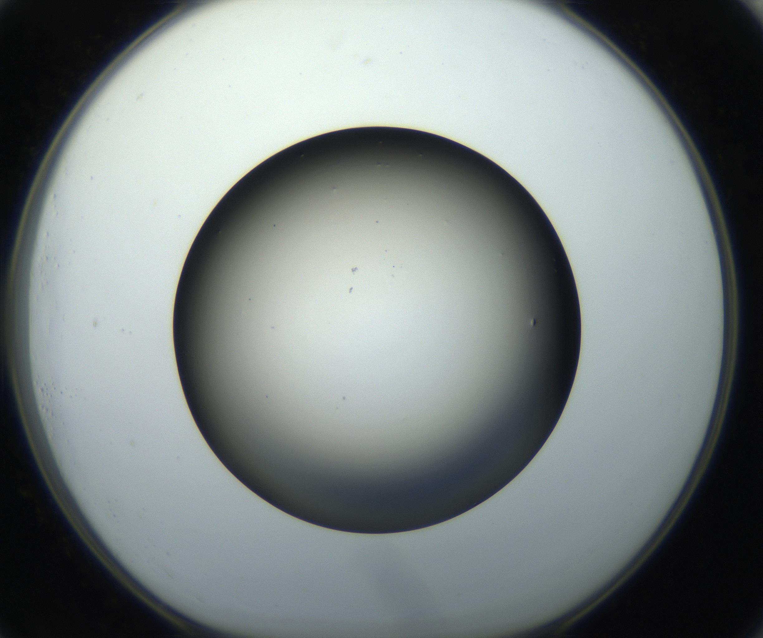 RI01_03_000_0212_Proj1_Clon1_MC_0000MC102718_004_160921_01_07_01_00_99_002_001_RAI.jpg