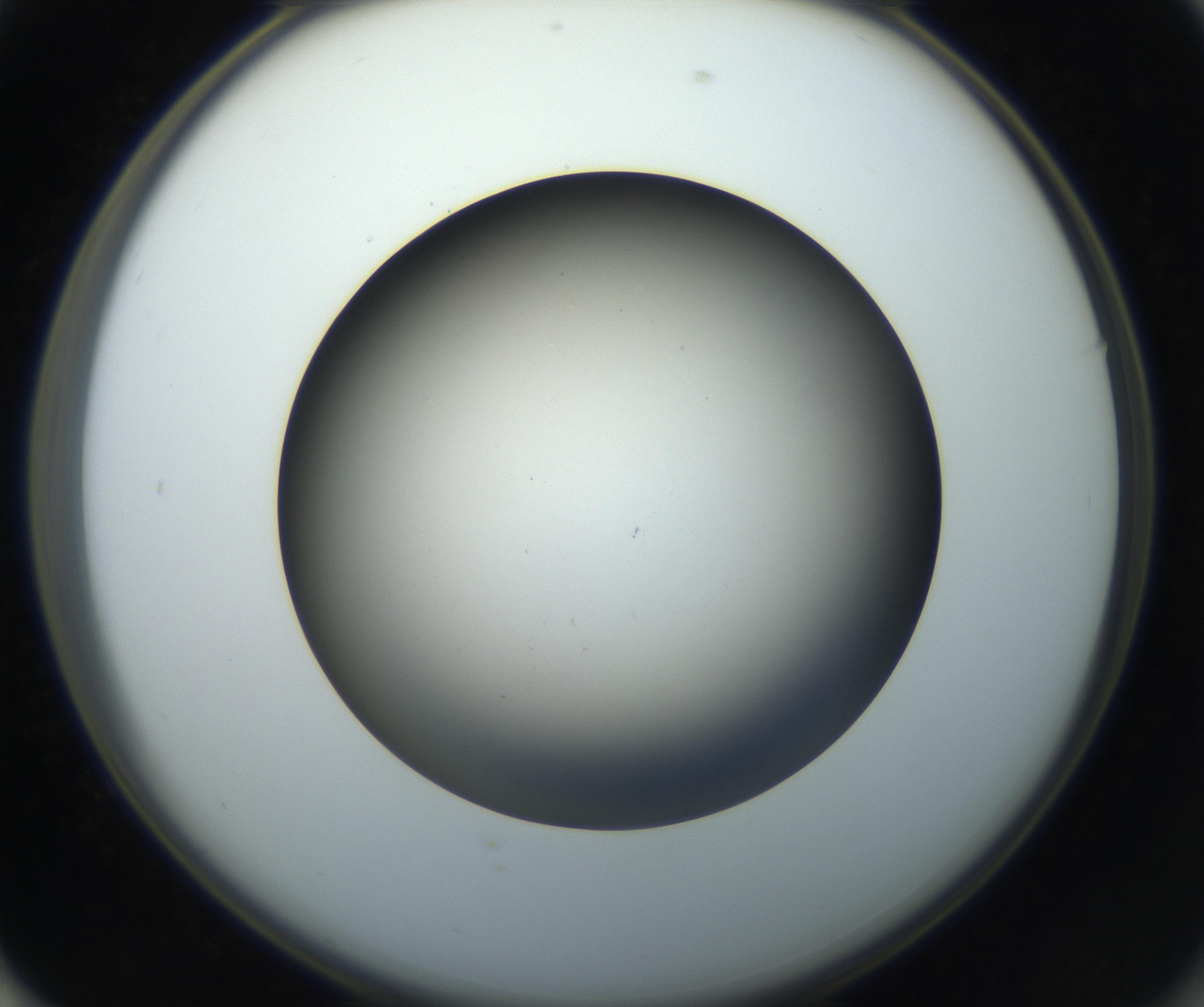 RI01_03_000_0212_Proj1_Clon1_MC_0000MC102718_004_160921_01_07_02_00_99_002_001_RAI.jpg
