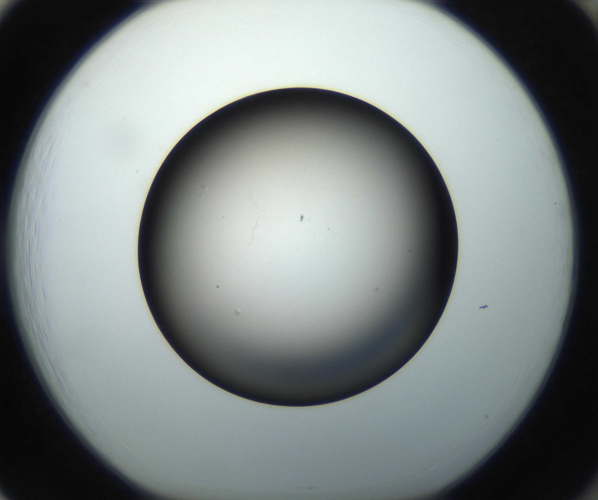 RI01_03_000_0212_Proj1_Clon1_MC_0000MC102718_004_160921_01_08_01_00_99_002_001_RAI.jpg
