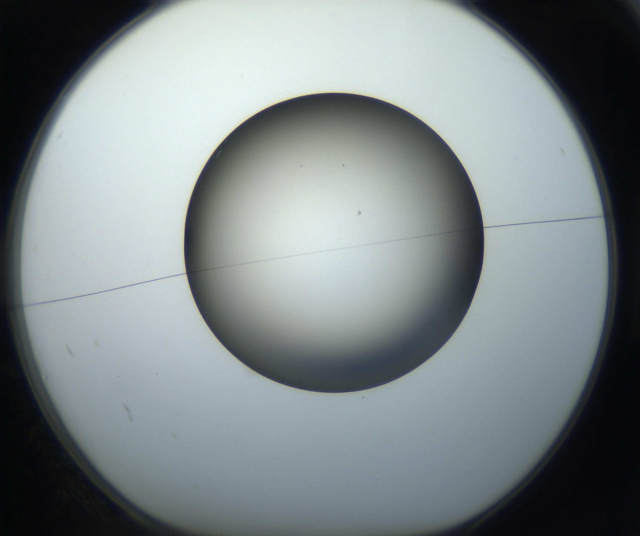 RI01_03_000_0212_Proj1_Clon1_MC_0000MC102718_004_160921_02_01_01_00_99_002_001_RAI.jpg