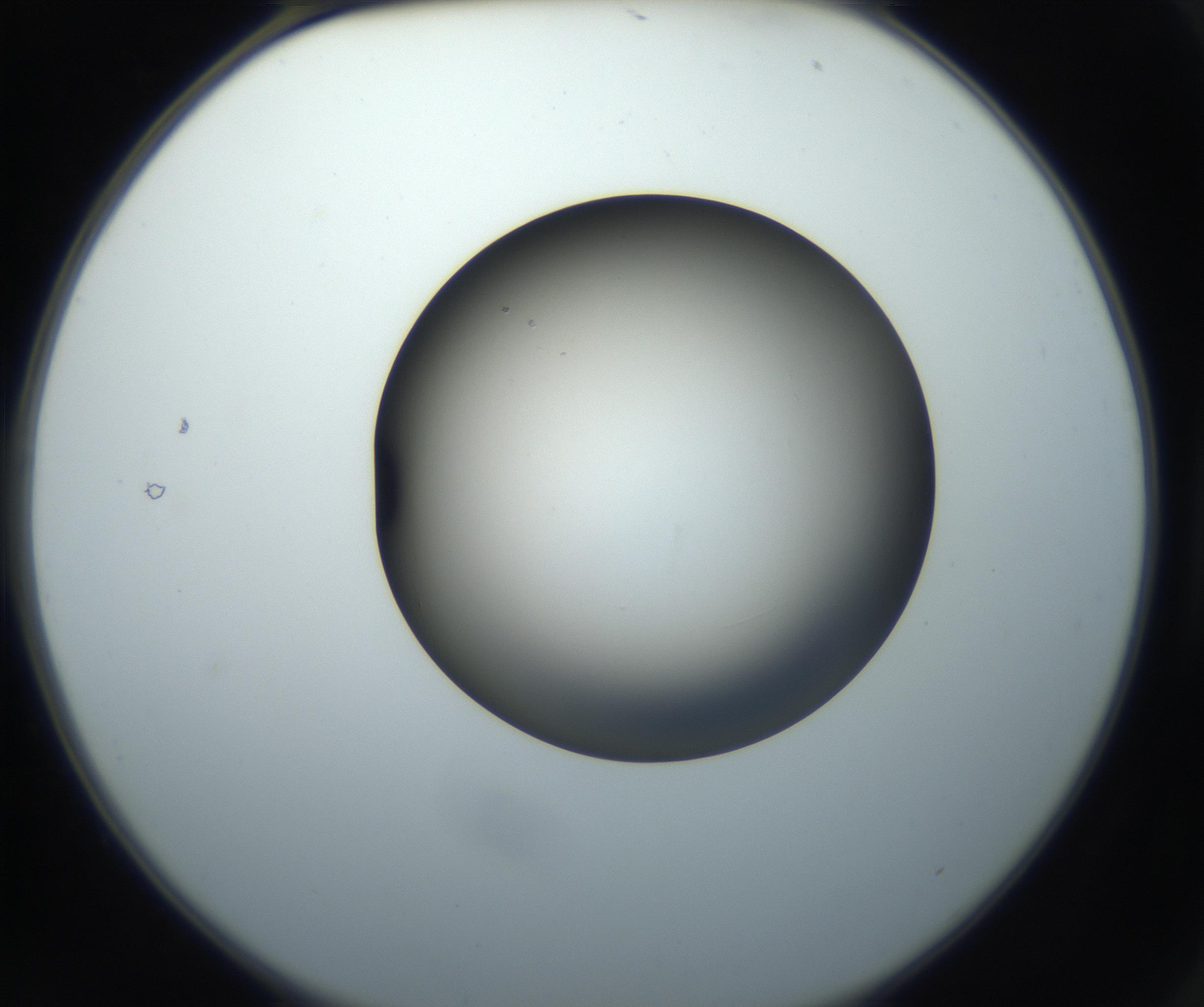 RI01_03_000_0212_Proj1_Clon1_MC_0000MC102718_004_160921_02_01_02_00_99_002_001_RAI.jpg