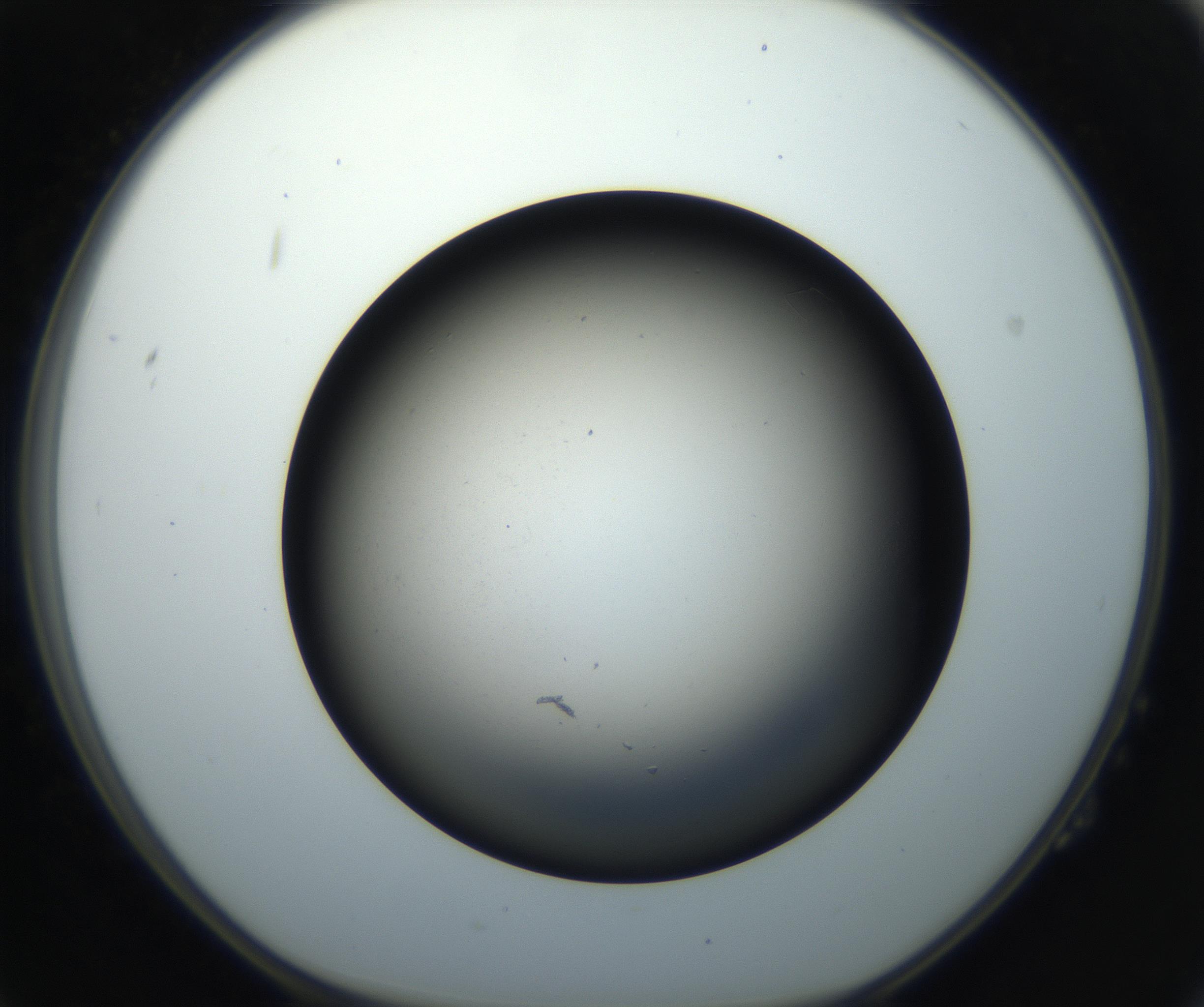 RI01_03_000_0212_Proj1_Clon1_MC_0000MC102718_004_160921_02_02_01_00_99_002_001_RAI.jpg