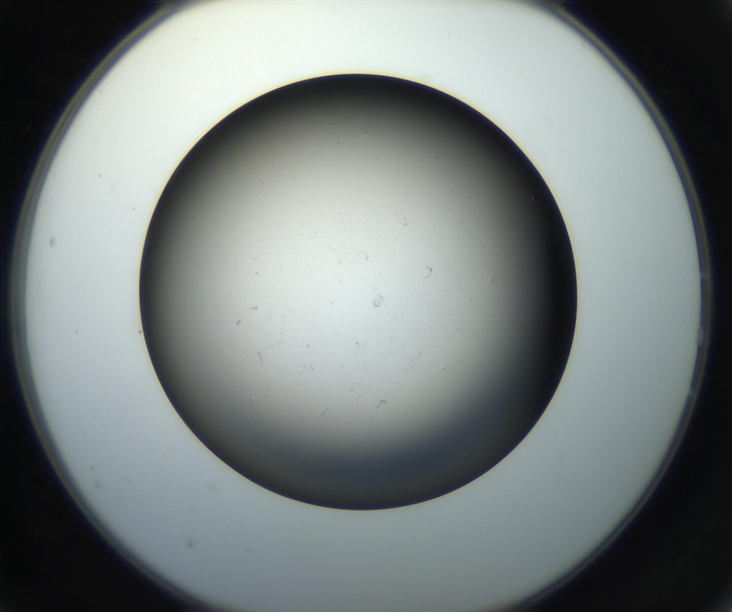 RI01_03_000_0212_Proj1_Clon1_MC_0000MC102718_004_160921_02_02_02_00_99_002_001_RAI.jpg