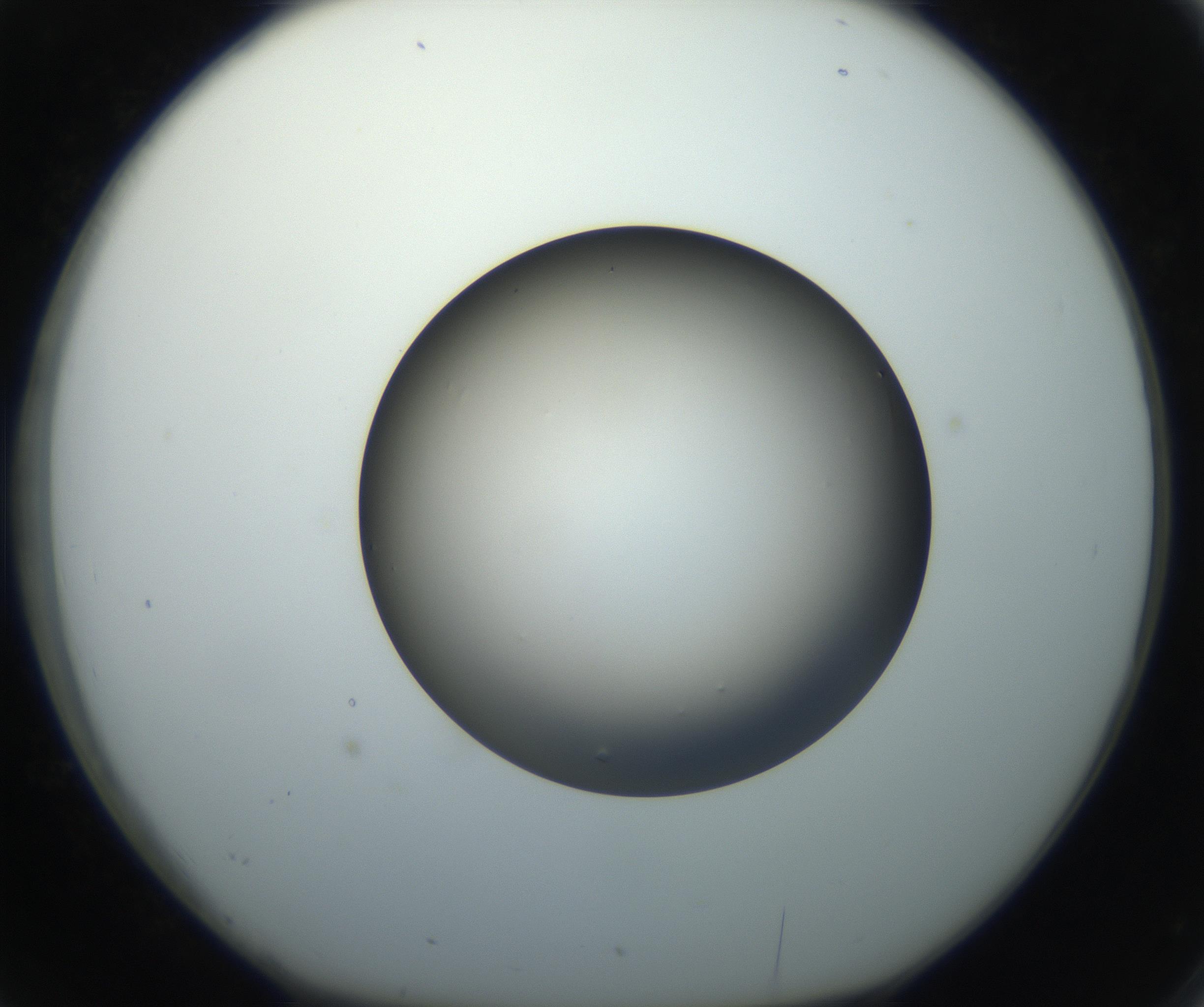 RI01_03_000_0212_Proj1_Clon1_MC_0000MC102718_004_160921_02_03_01_00_99_002_001_RAI.jpg