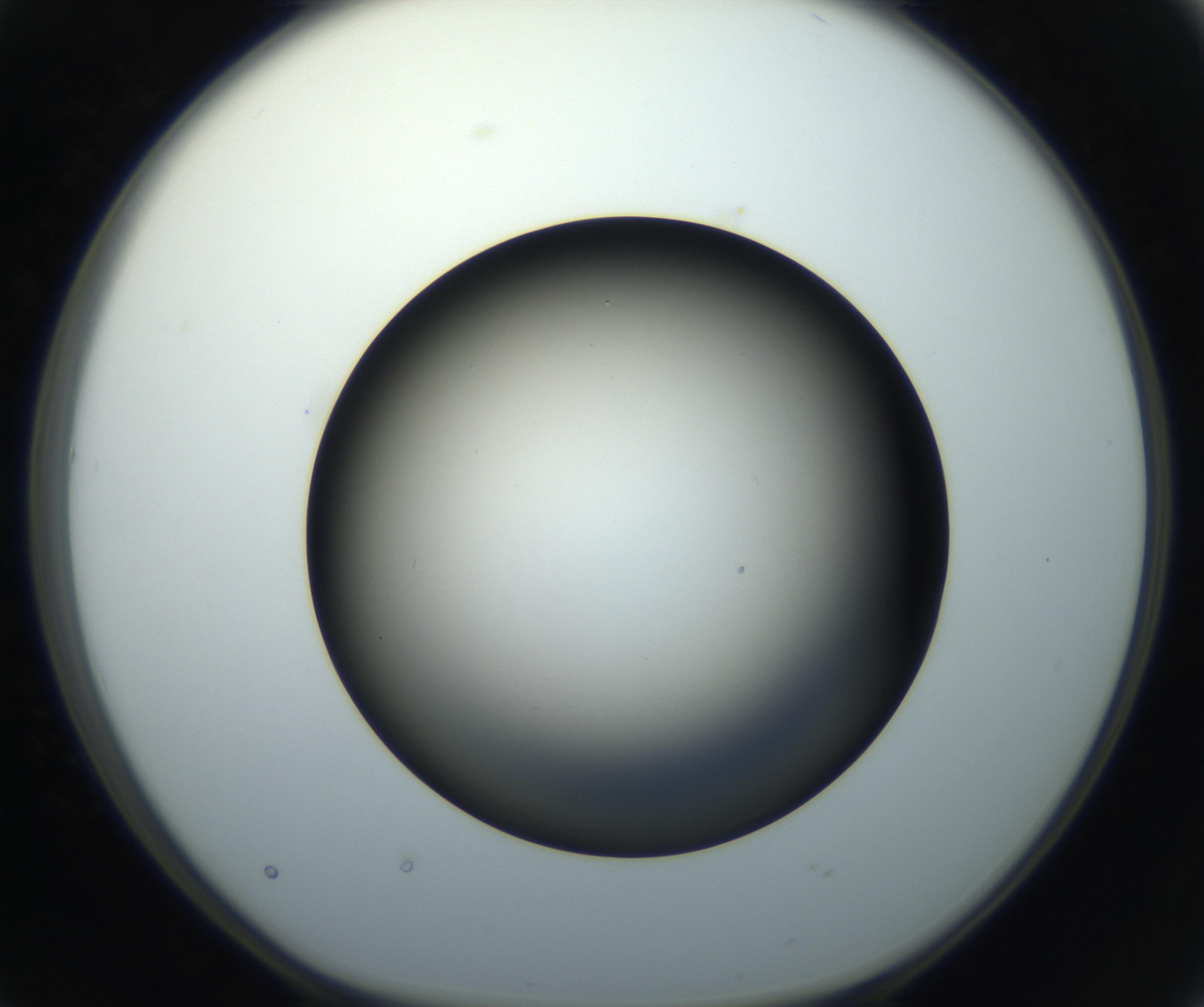RI01_03_000_0212_Proj1_Clon1_MC_0000MC102718_004_160921_02_04_01_00_99_002_001_RAI.jpg