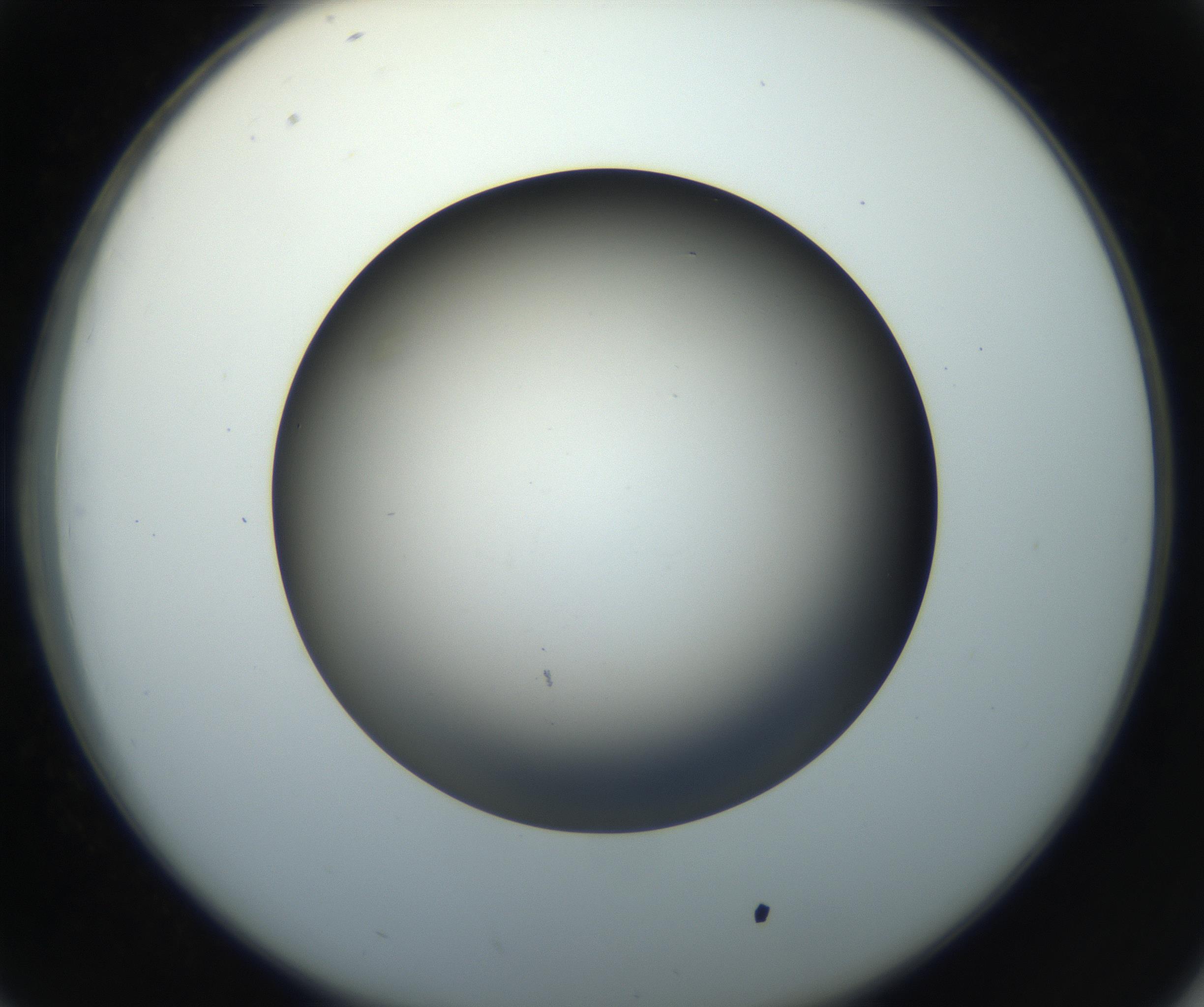 RI01_03_000_0212_Proj1_Clon1_MC_0000MC102718_004_160921_02_04_02_00_99_002_001_RAI.jpg