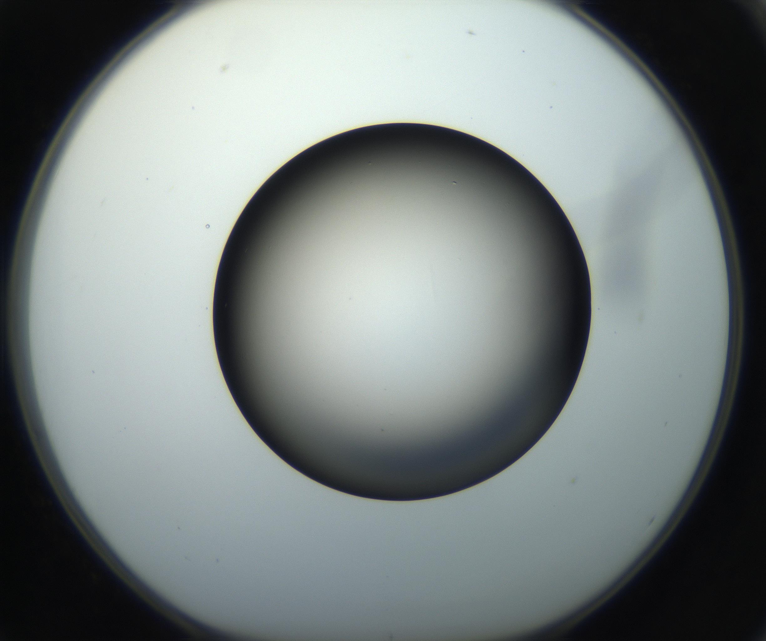 RI01_03_000_0212_Proj1_Clon1_MC_0000MC102718_004_160921_02_06_01_00_99_002_001_RAI.jpg