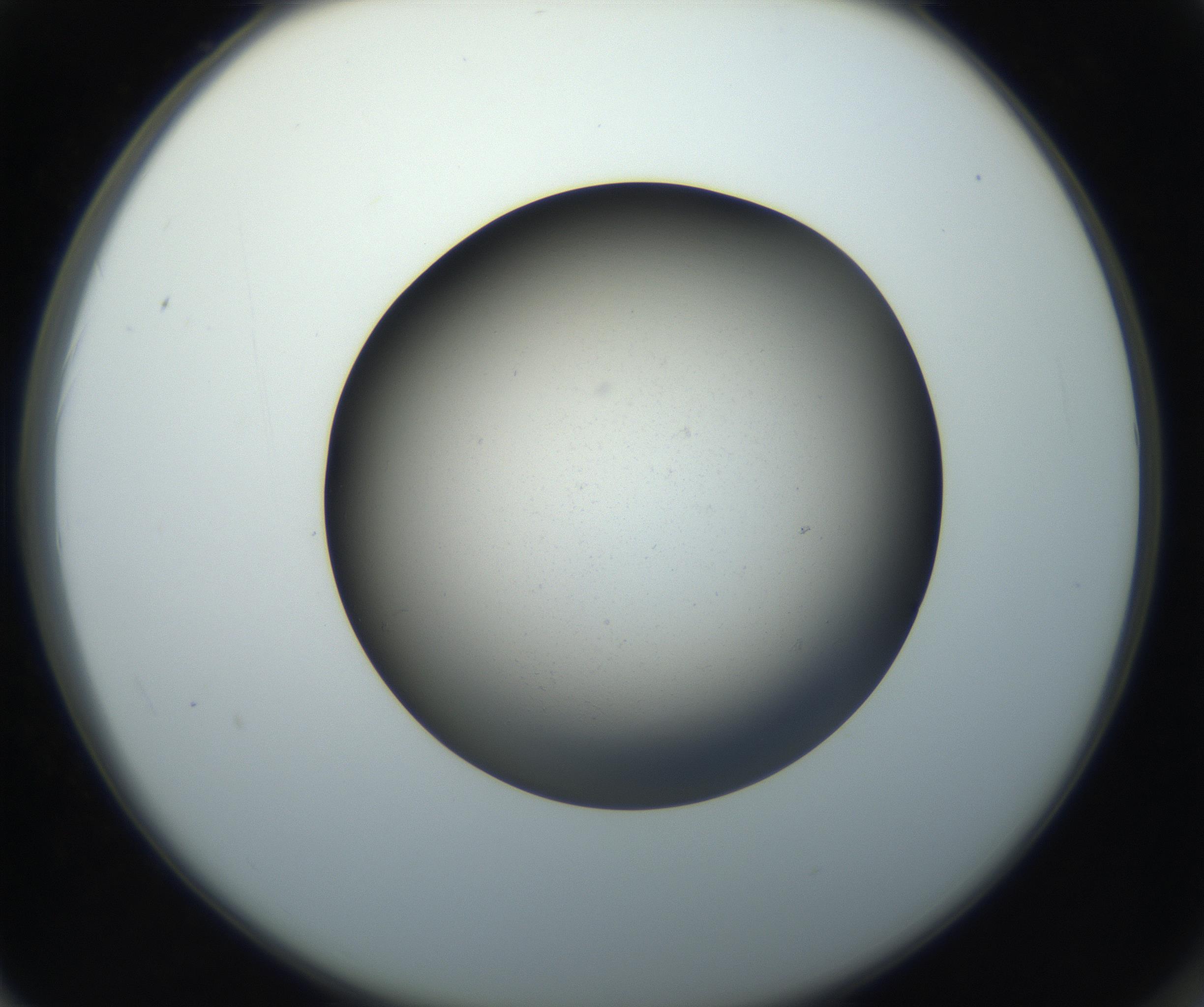 RI01_03_000_0212_Proj1_Clon1_MC_0000MC102718_004_160921_02_06_02_00_99_002_001_RAI.jpg