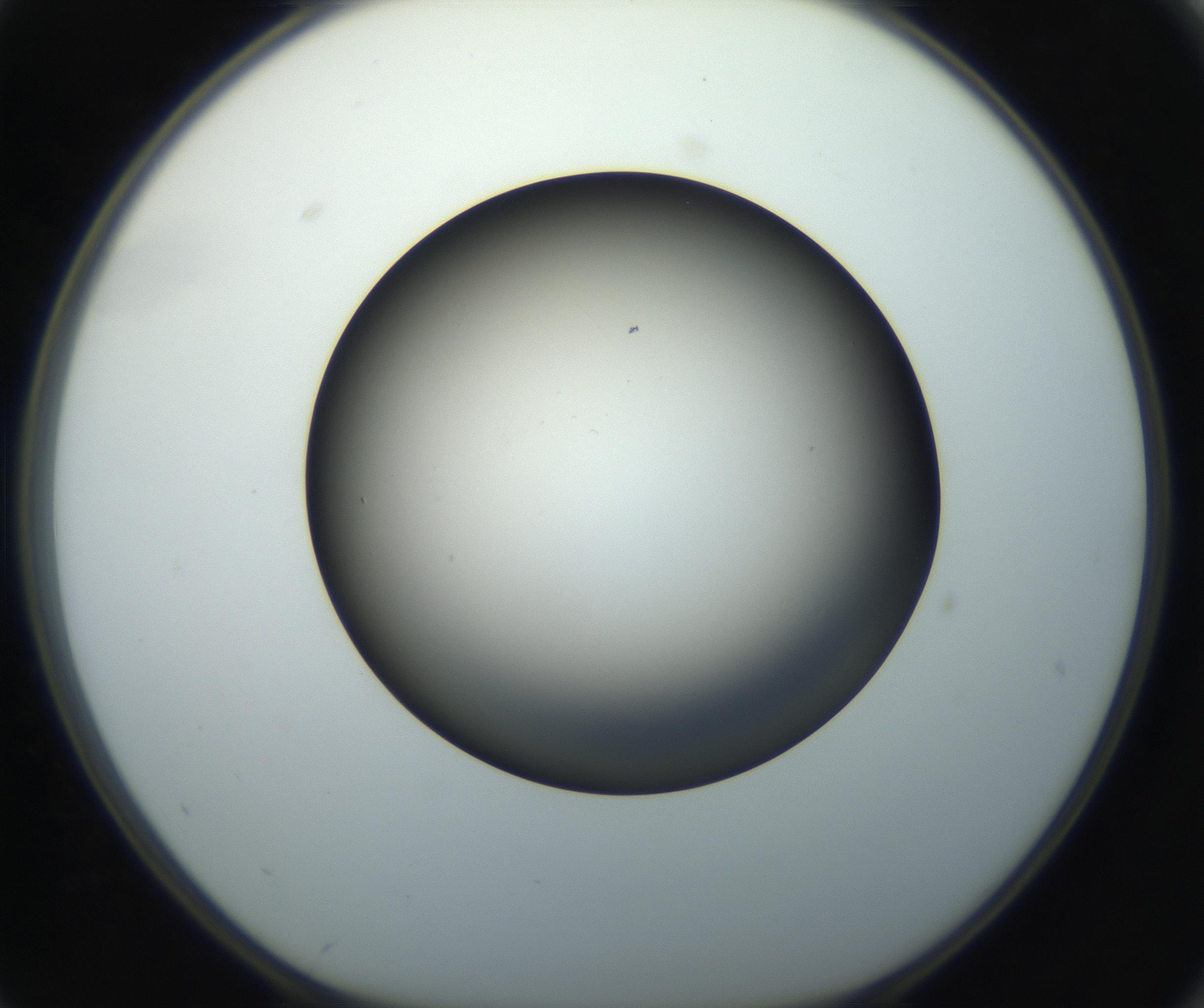 RI01_03_000_0212_Proj1_Clon1_MC_0000MC102718_004_160921_02_07_01_00_99_002_001_RAI.jpg
