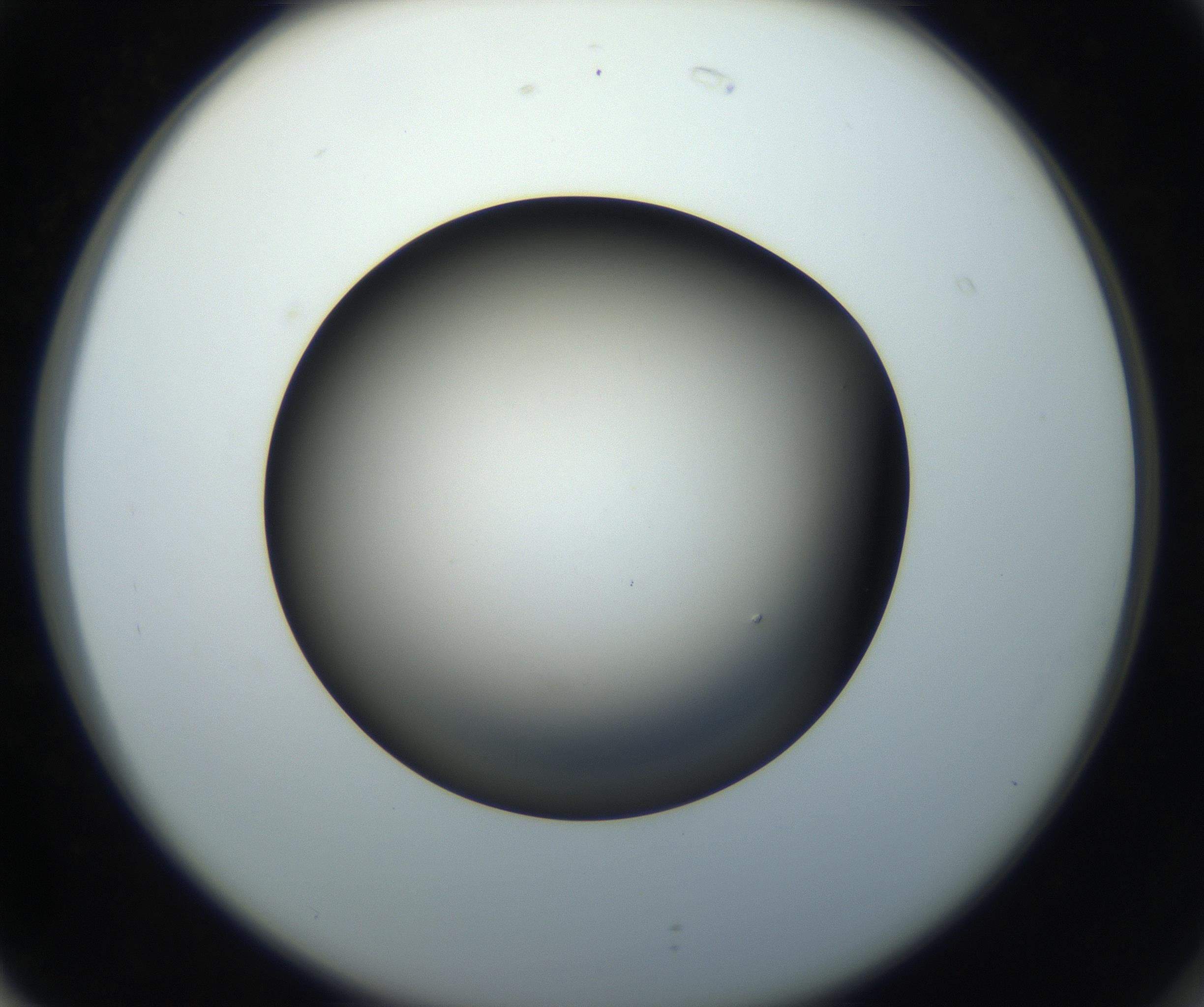 RI01_03_000_0212_Proj1_Clon1_MC_0000MC102718_004_160921_02_07_02_00_99_002_001_RAI.jpg