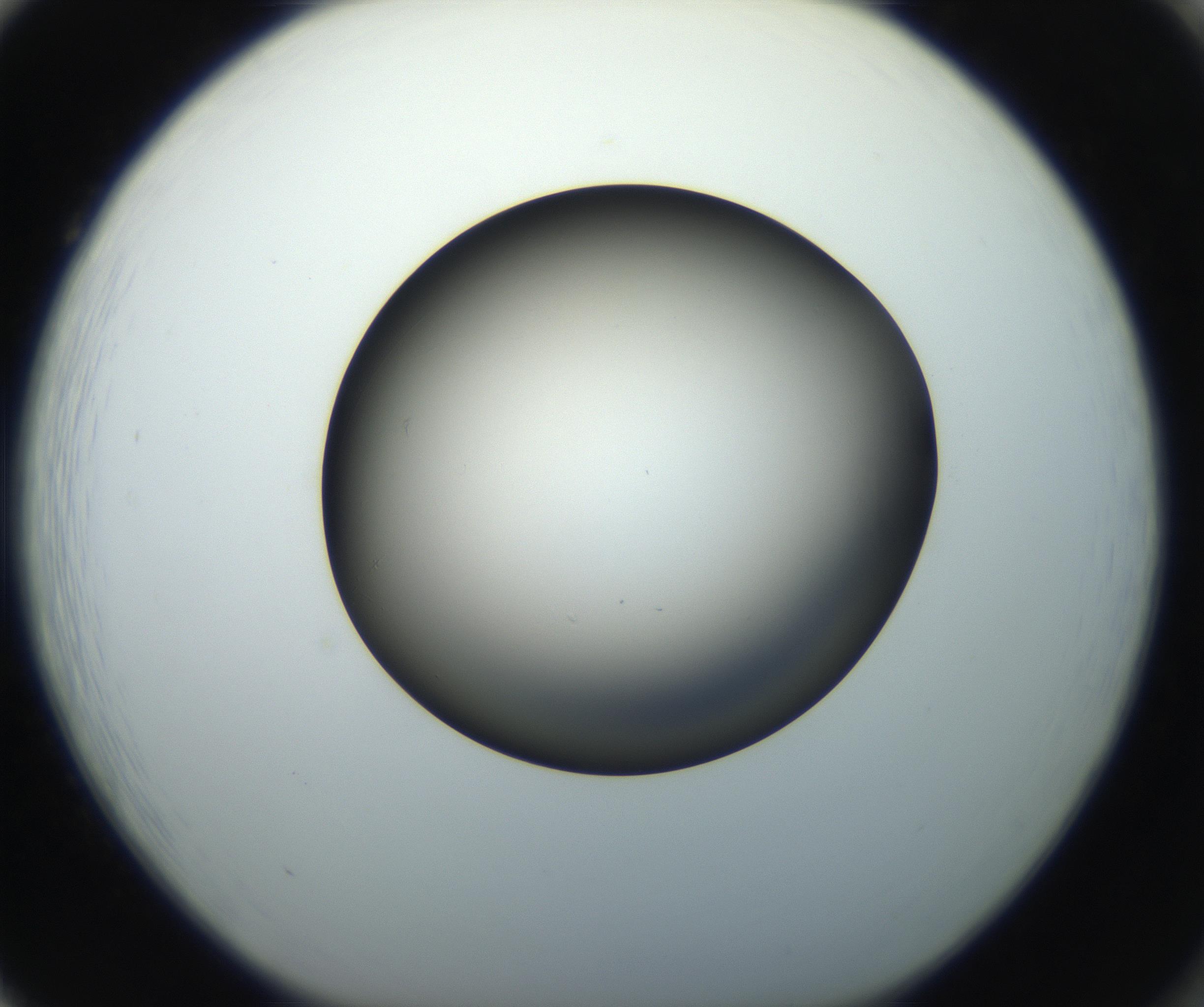 RI01_03_000_0212_Proj1_Clon1_MC_0000MC102718_004_160921_02_08_01_00_99_002_001_RAI.jpg