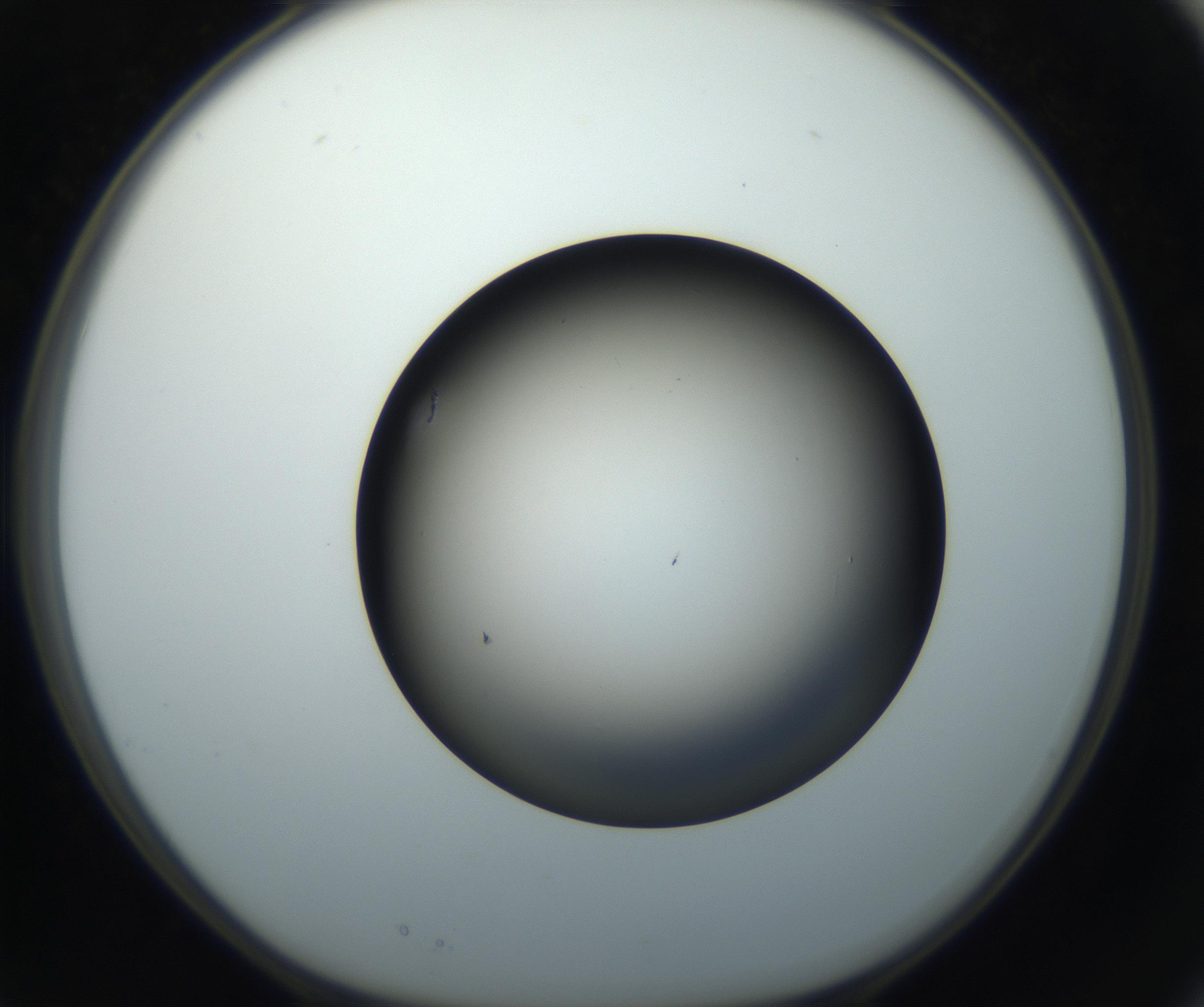 RI01_03_000_0212_Proj1_Clon1_MC_0000MC102718_004_160921_03_02_01_00_99_002_001_RAI.jpg