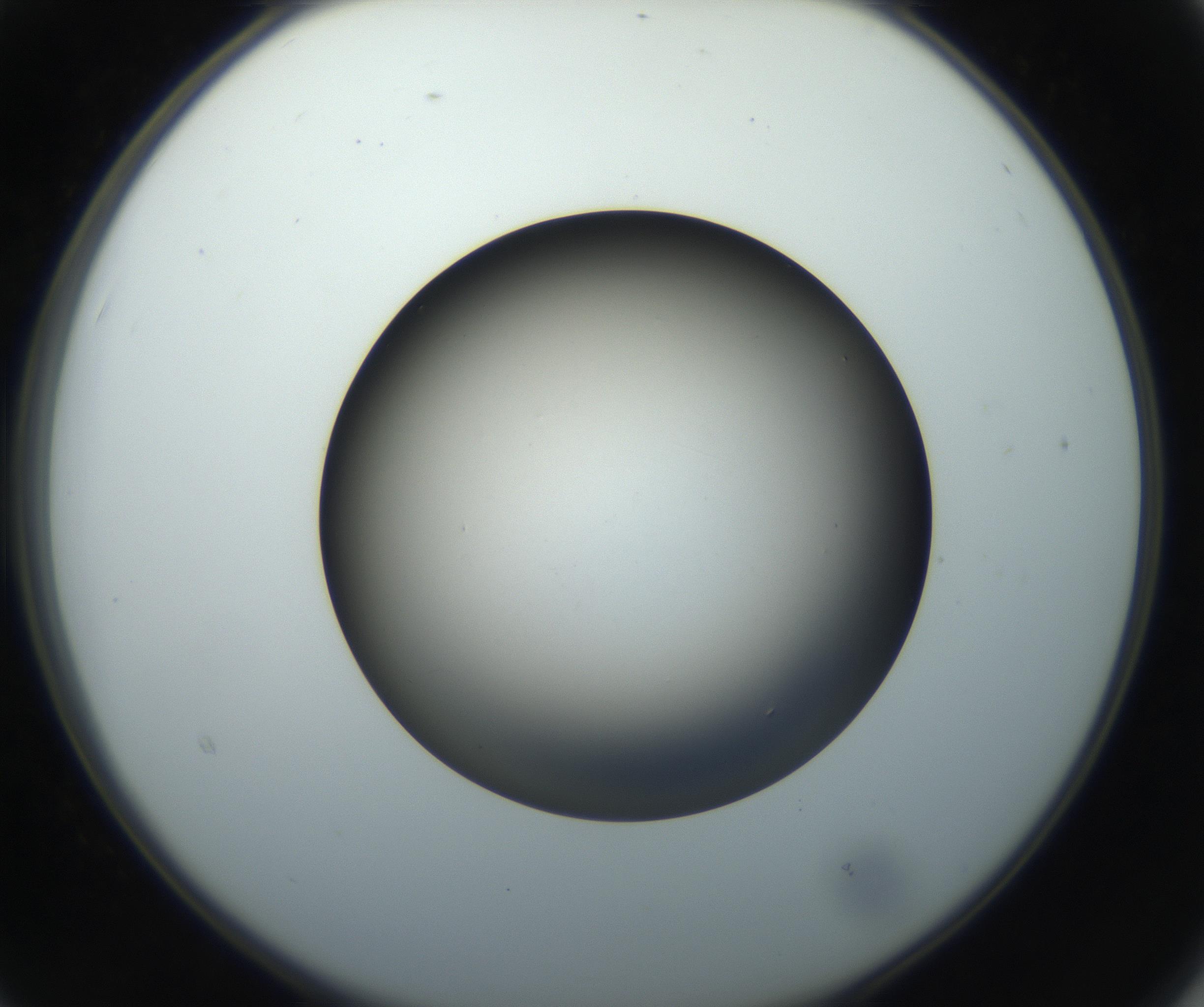 RI01_03_000_0212_Proj1_Clon1_MC_0000MC102718_004_160921_03_02_02_00_99_002_001_RAI.jpg