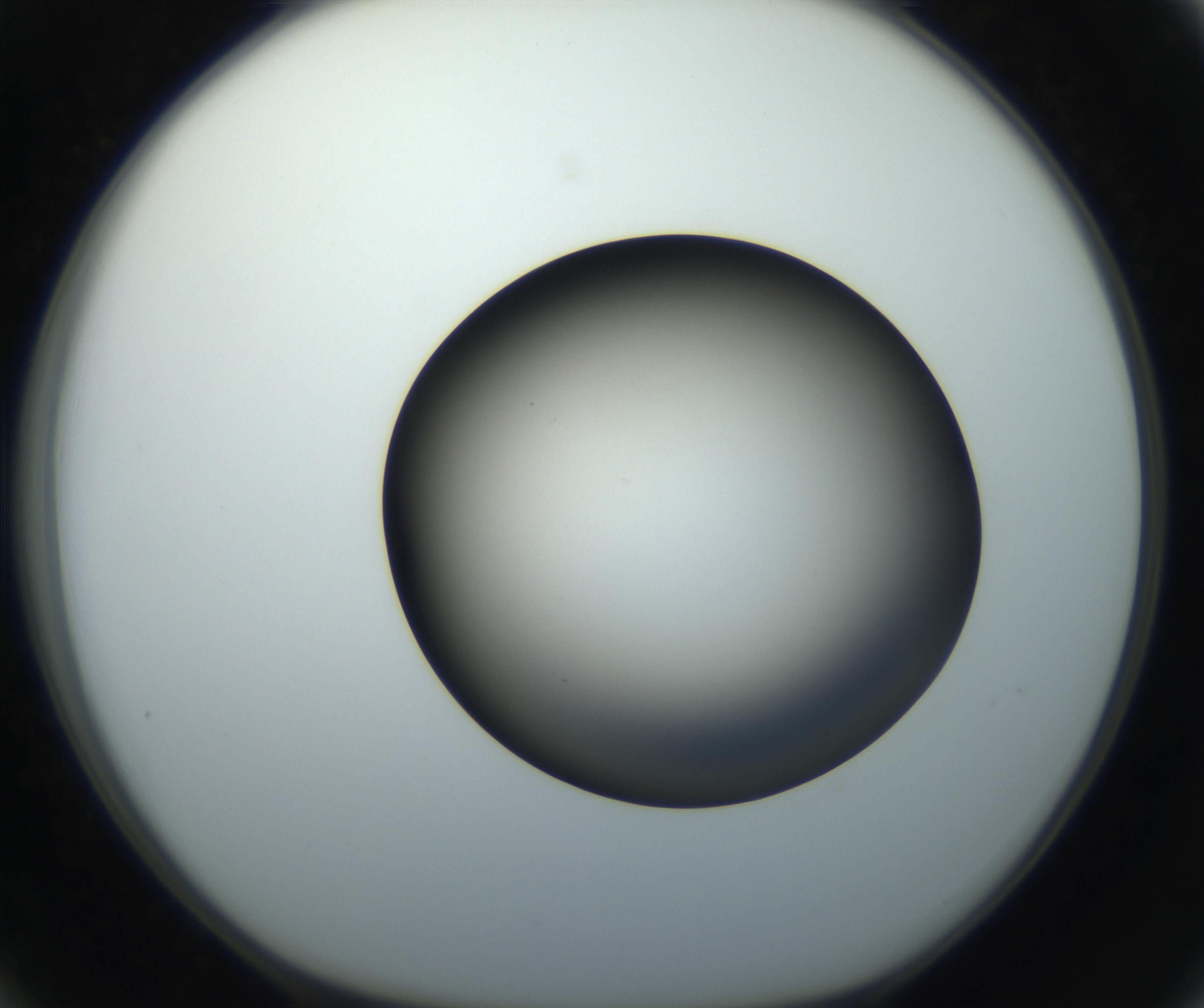 RI01_03_000_0212_Proj1_Clon1_MC_0000MC102718_004_160921_03_03_01_00_99_002_001_RAI.jpg