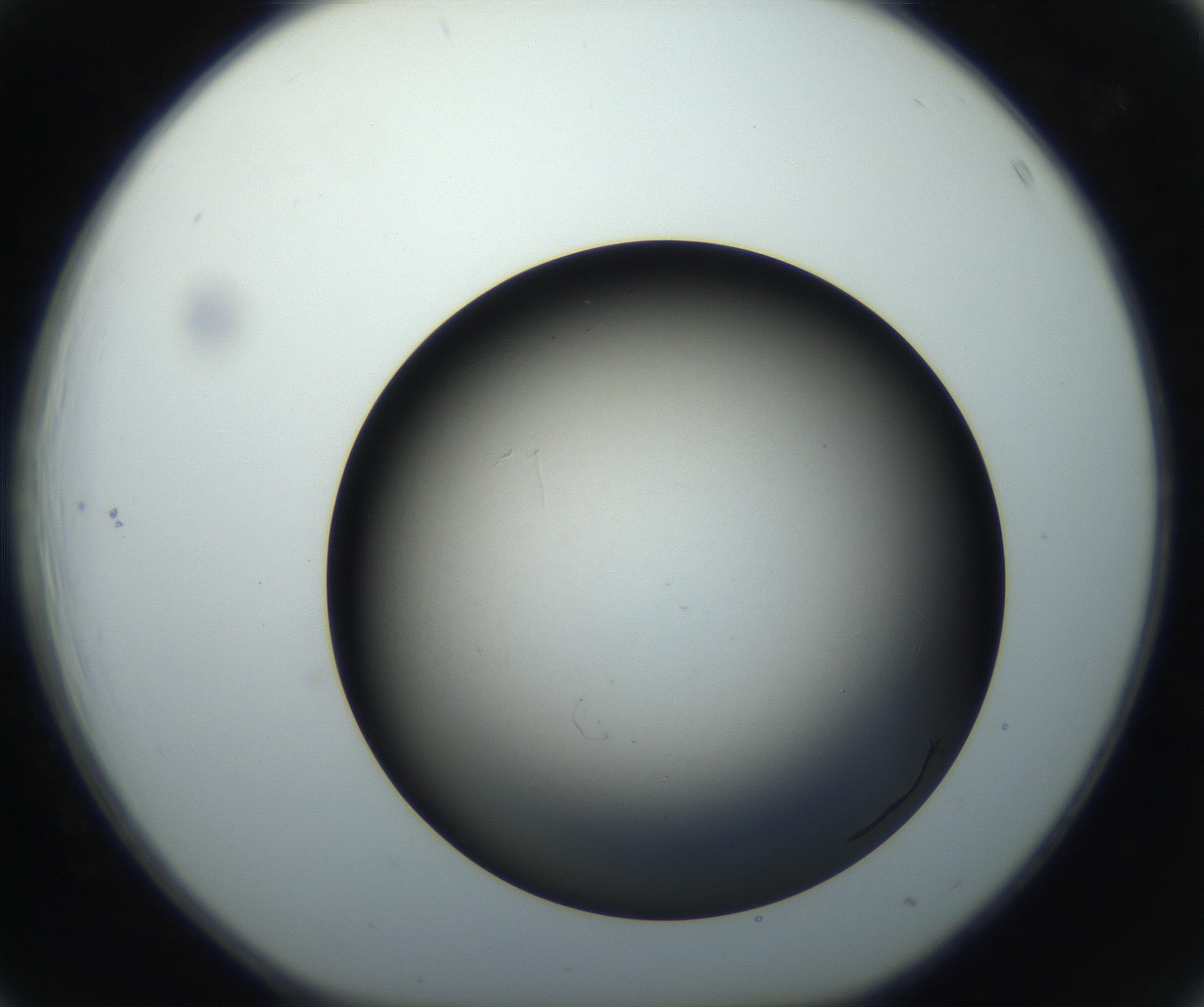 RI01_03_000_0212_Proj1_Clon1_MC_0000MC102718_004_160921_03_04_01_00_99_002_001_RAI.jpg