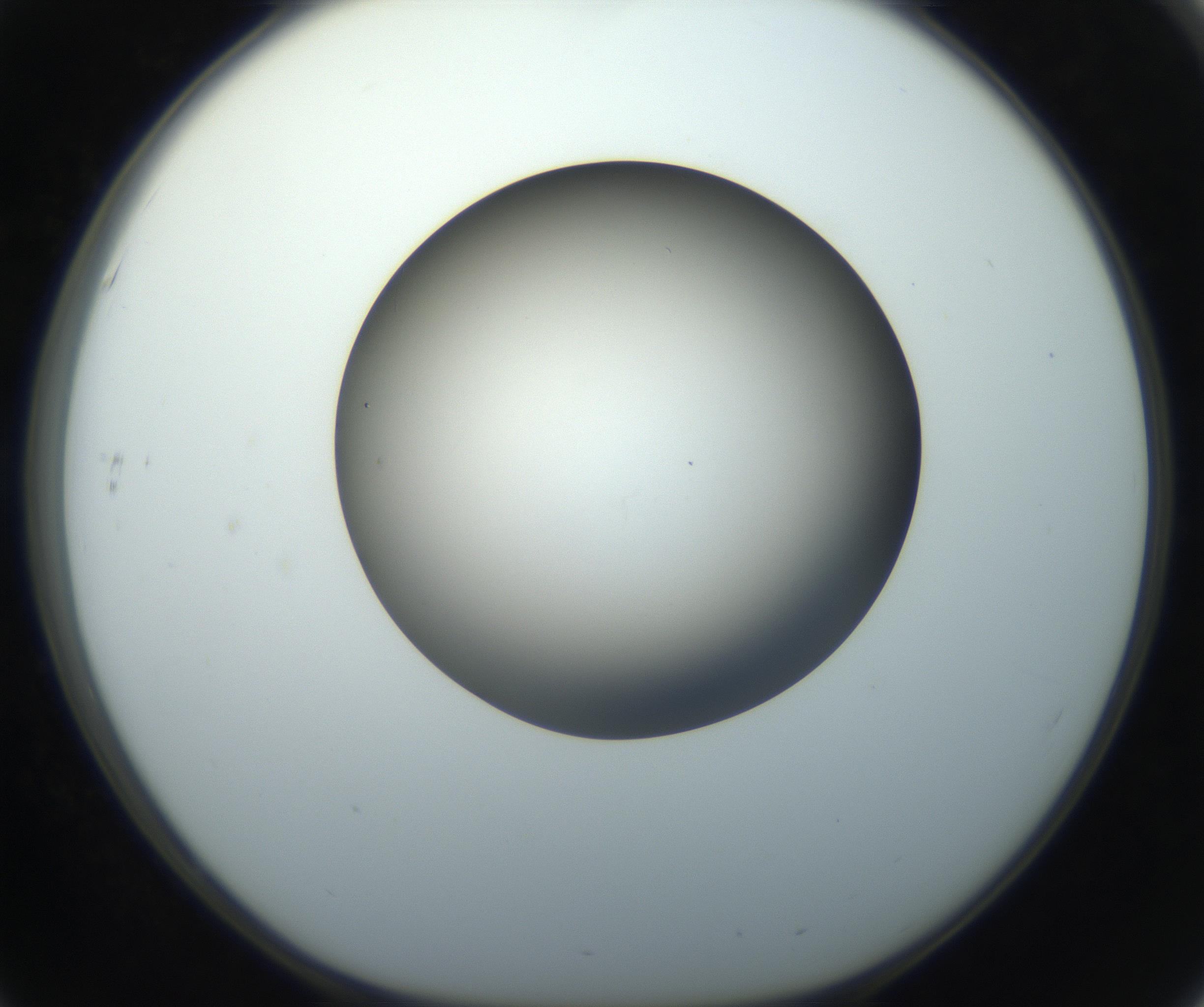 RI01_03_000_0212_Proj1_Clon1_MC_0000MC102718_004_160921_03_05_01_00_99_002_001_RAI.jpg