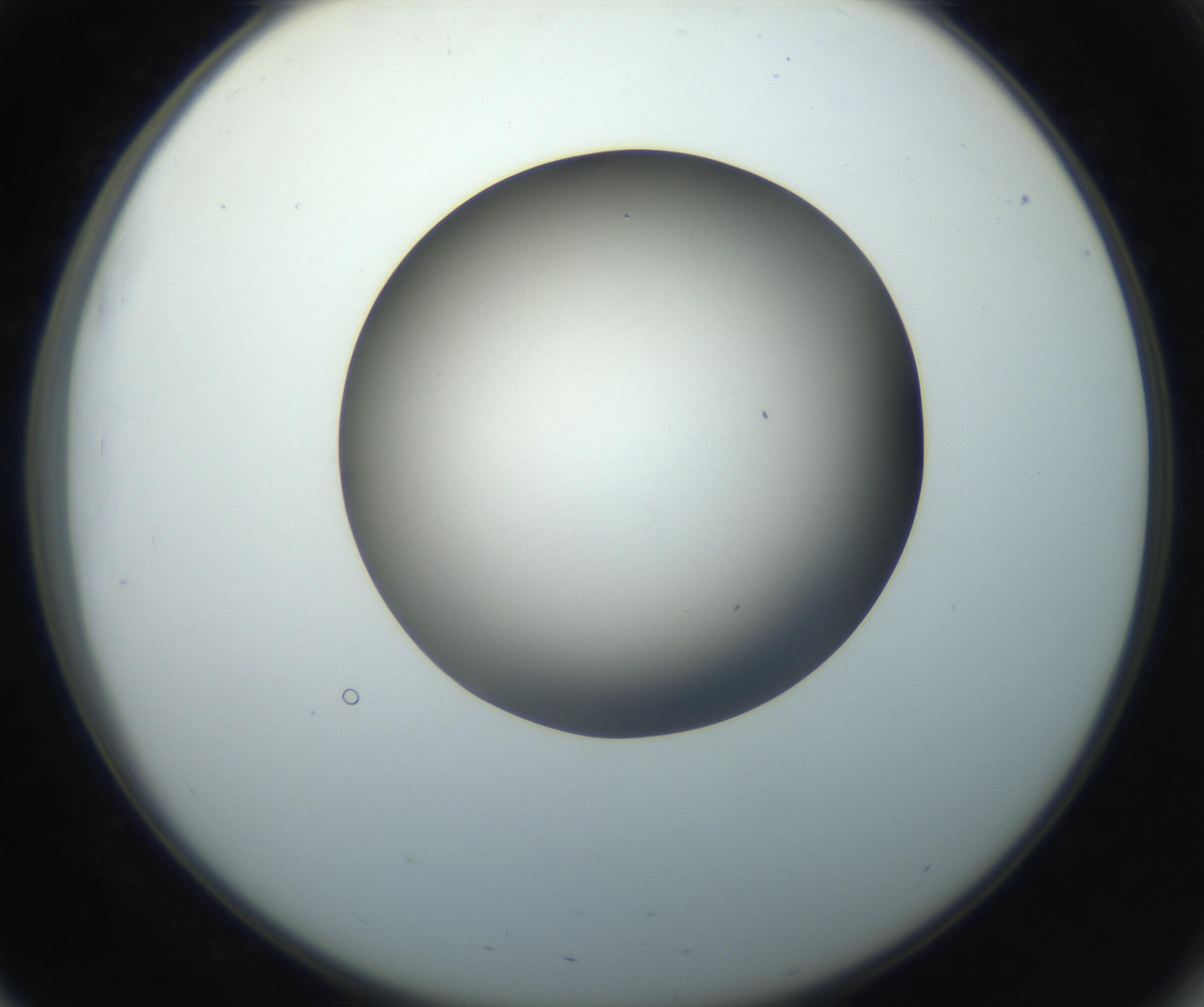 RI01_03_000_0212_Proj1_Clon1_MC_0000MC102718_004_160921_03_05_02_00_99_002_001_RAI.jpg