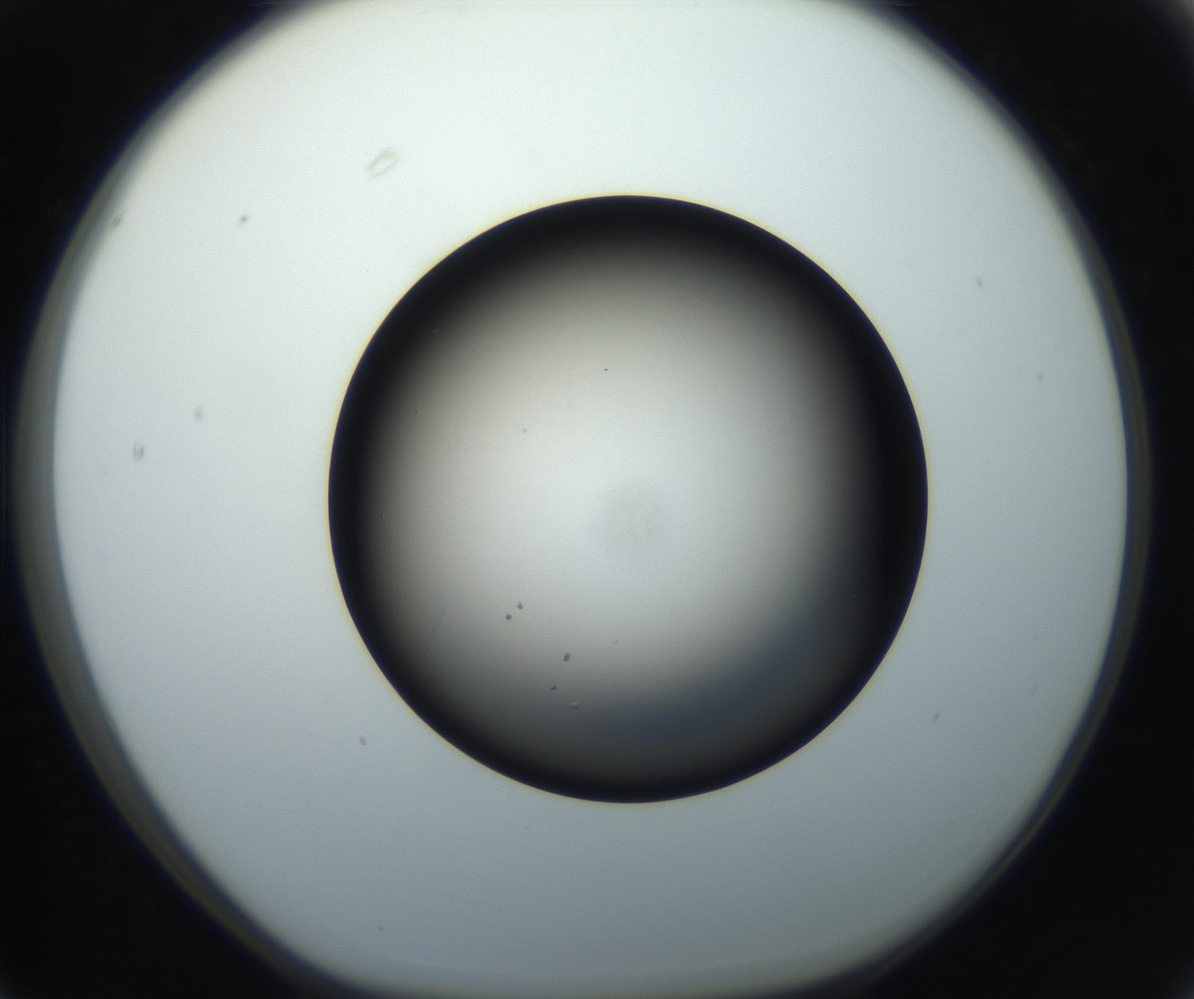 RI01_03_000_0212_Proj1_Clon1_MC_0000MC102718_004_160921_03_06_01_00_99_002_001_RAI.jpg