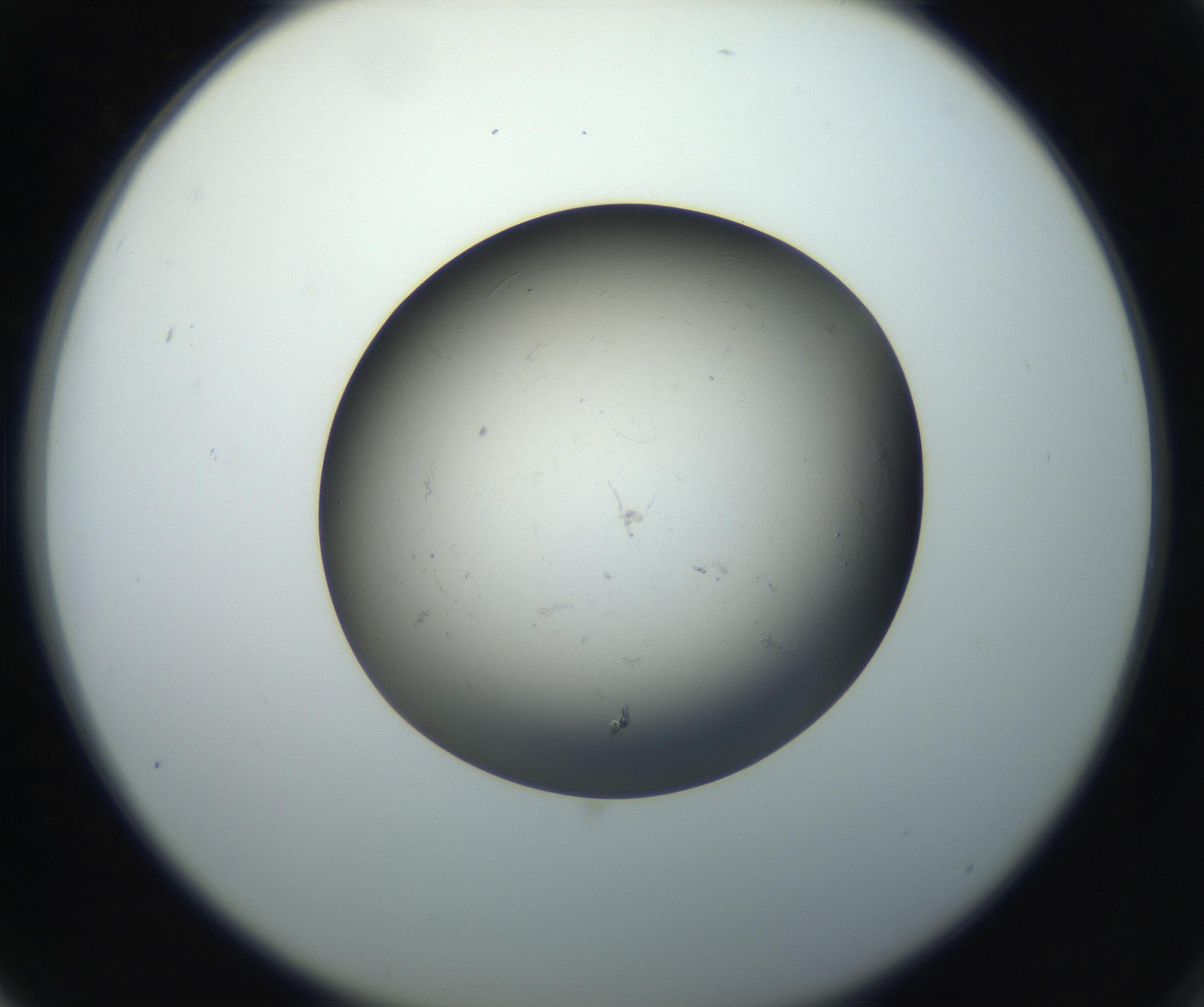 RI01_03_000_0212_Proj1_Clon1_MC_0000MC102718_004_160921_03_07_02_00_99_002_001_RAI.jpg