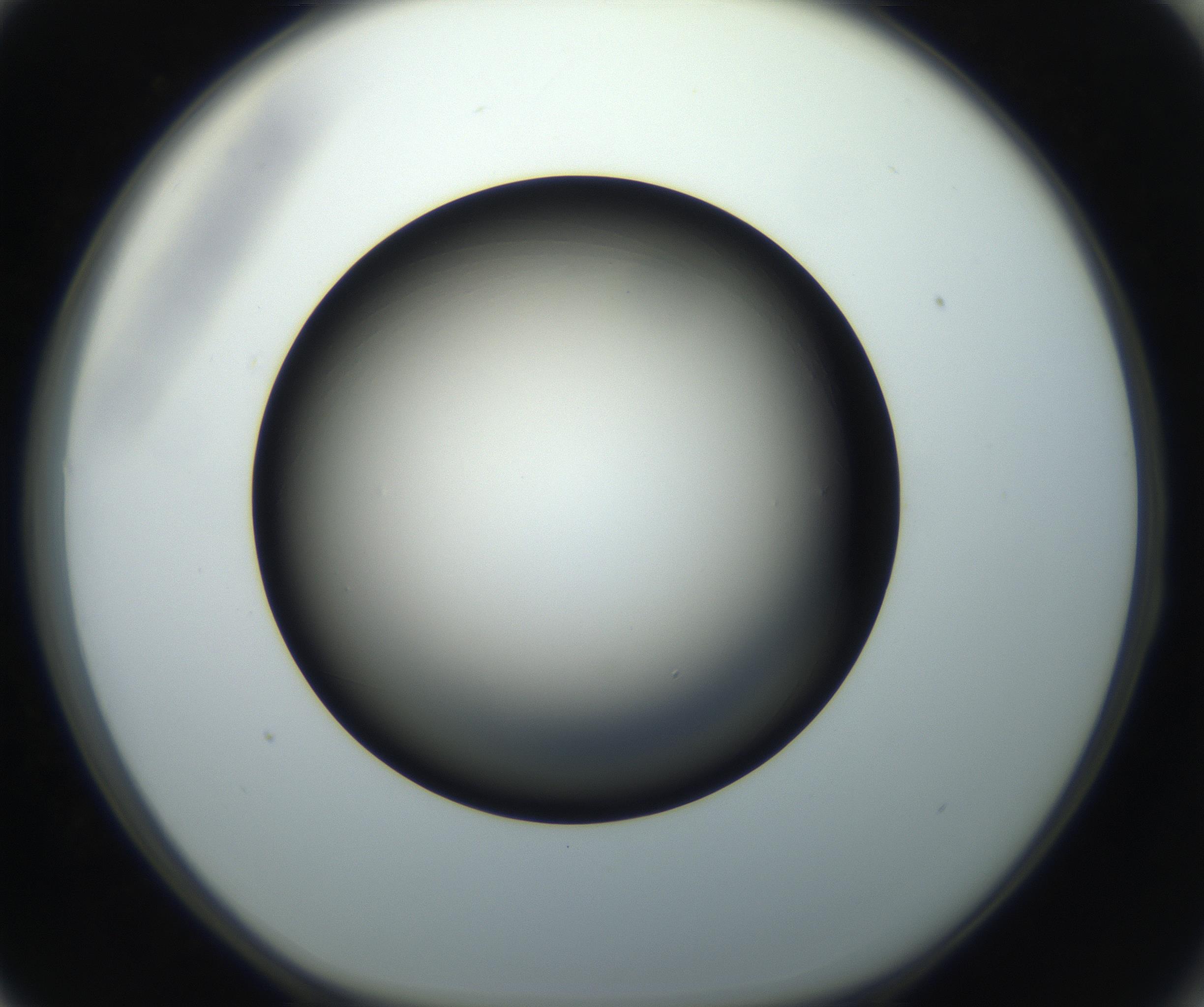 RI01_03_000_0212_Proj1_Clon1_MC_0000MC102718_004_160921_03_08_01_00_99_002_001_RAI.jpg