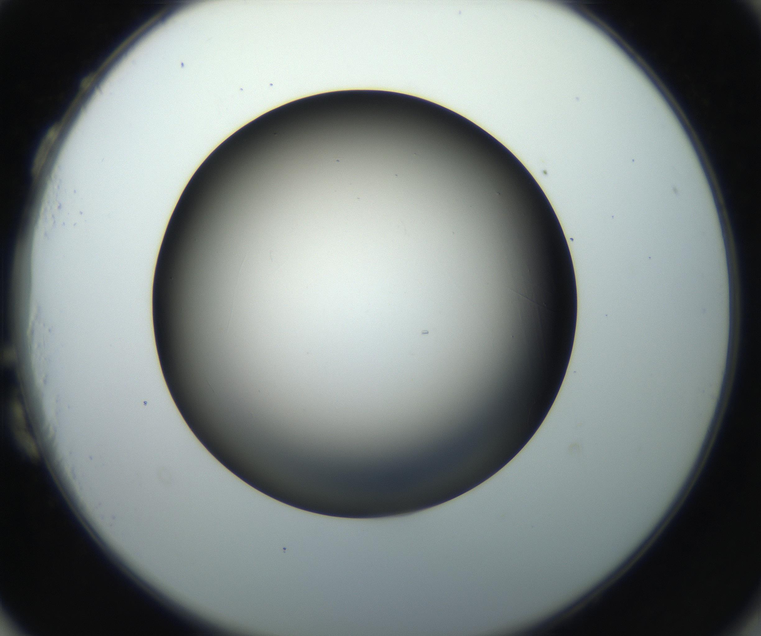 RI01_03_000_0212_Proj1_Clon1_MC_0000MC102718_004_160921_03_08_02_00_99_002_001_RAI.jpg
