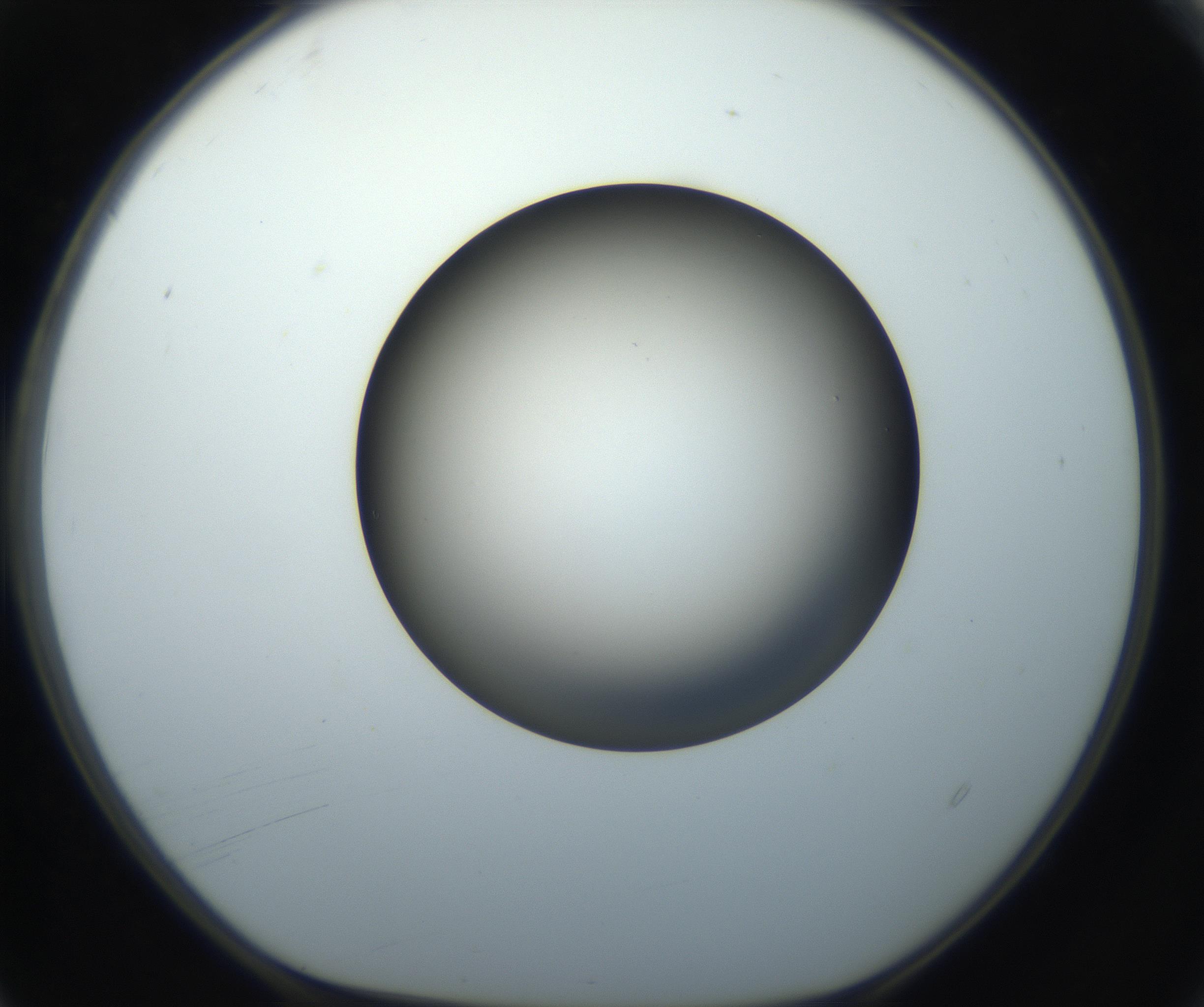 RI01_03_000_0212_Proj1_Clon1_MC_0000MC102718_004_160921_04_01_01_00_99_002_001_RAI.jpg