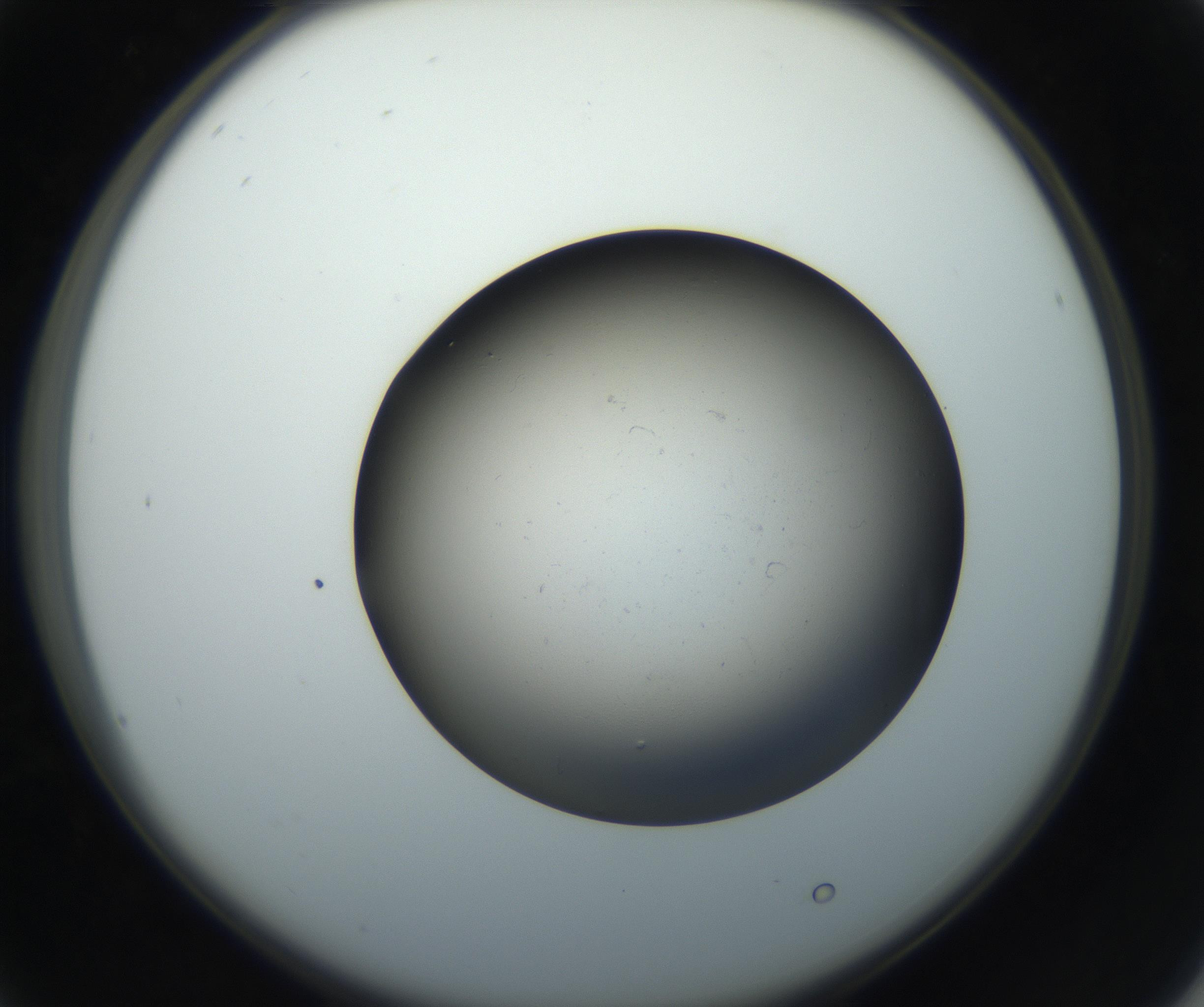RI01_03_000_0212_Proj1_Clon1_MC_0000MC102718_004_160921_04_02_02_00_99_002_001_RAI.jpg